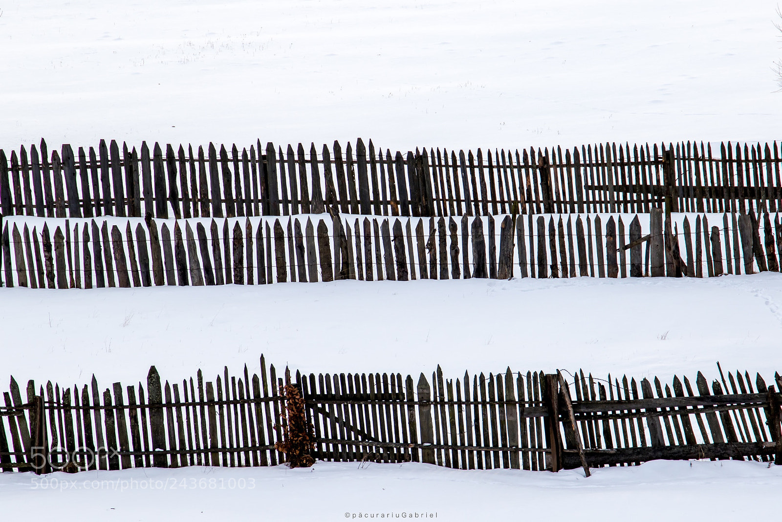 Canon EOS 7D Mark II sample photo. Nonsens fence photography
