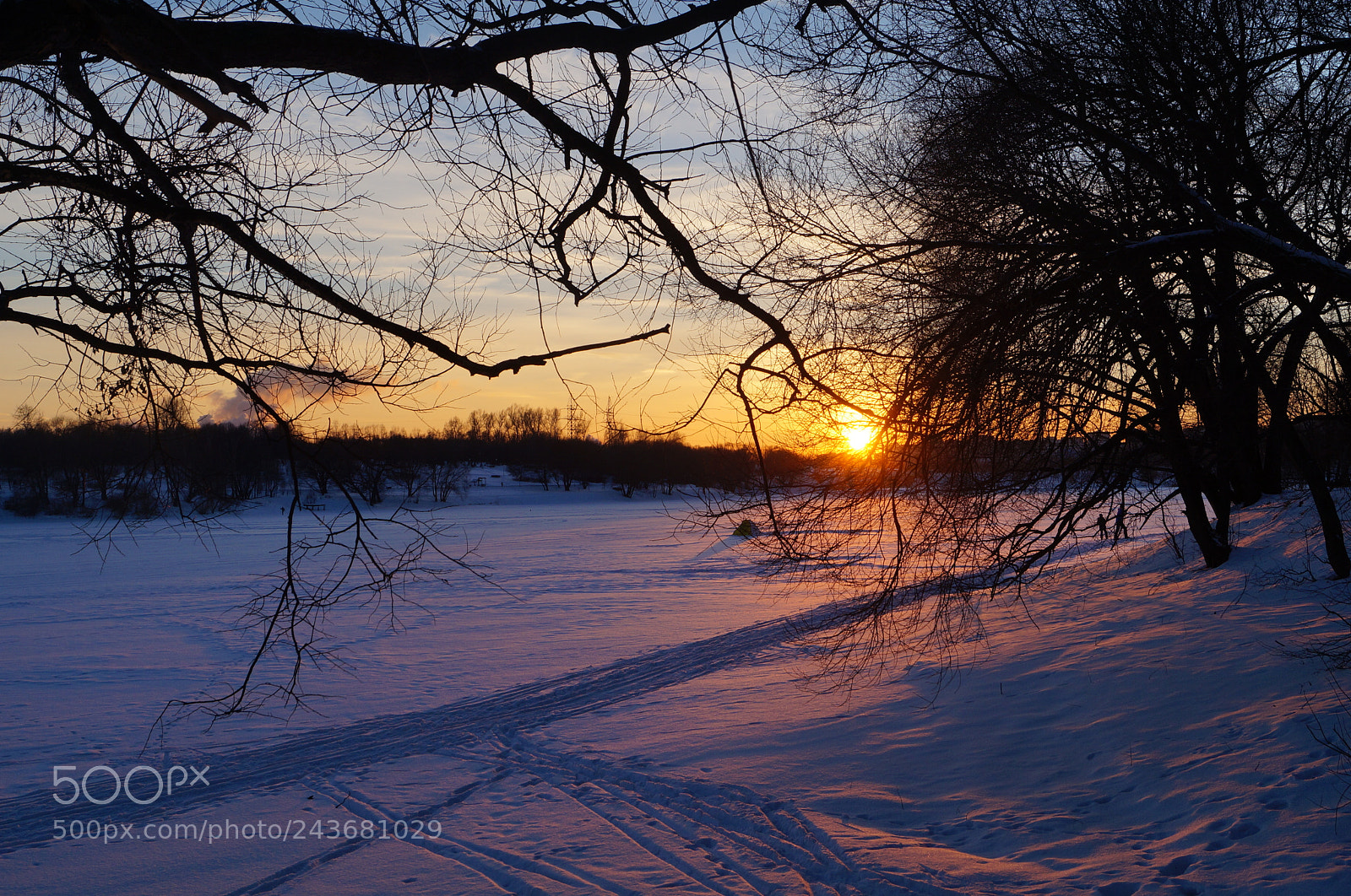 Sony SLT-A57 sample photo. Untitled photography