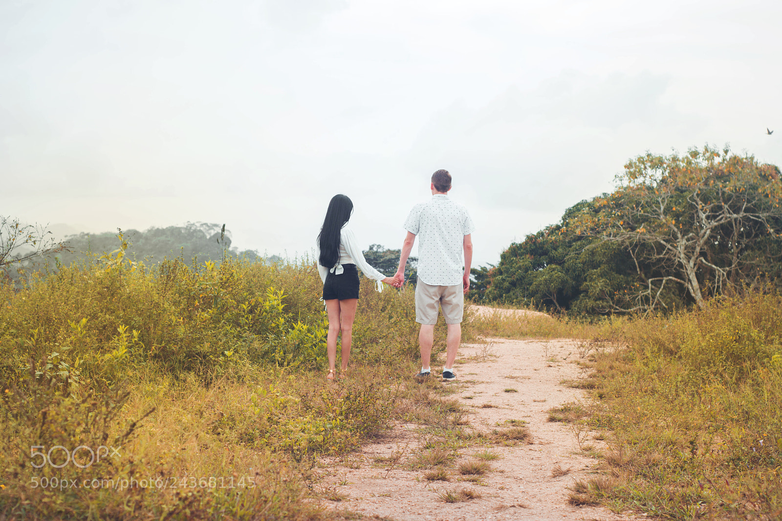 Nikon D7100 sample photo. Untitled photography