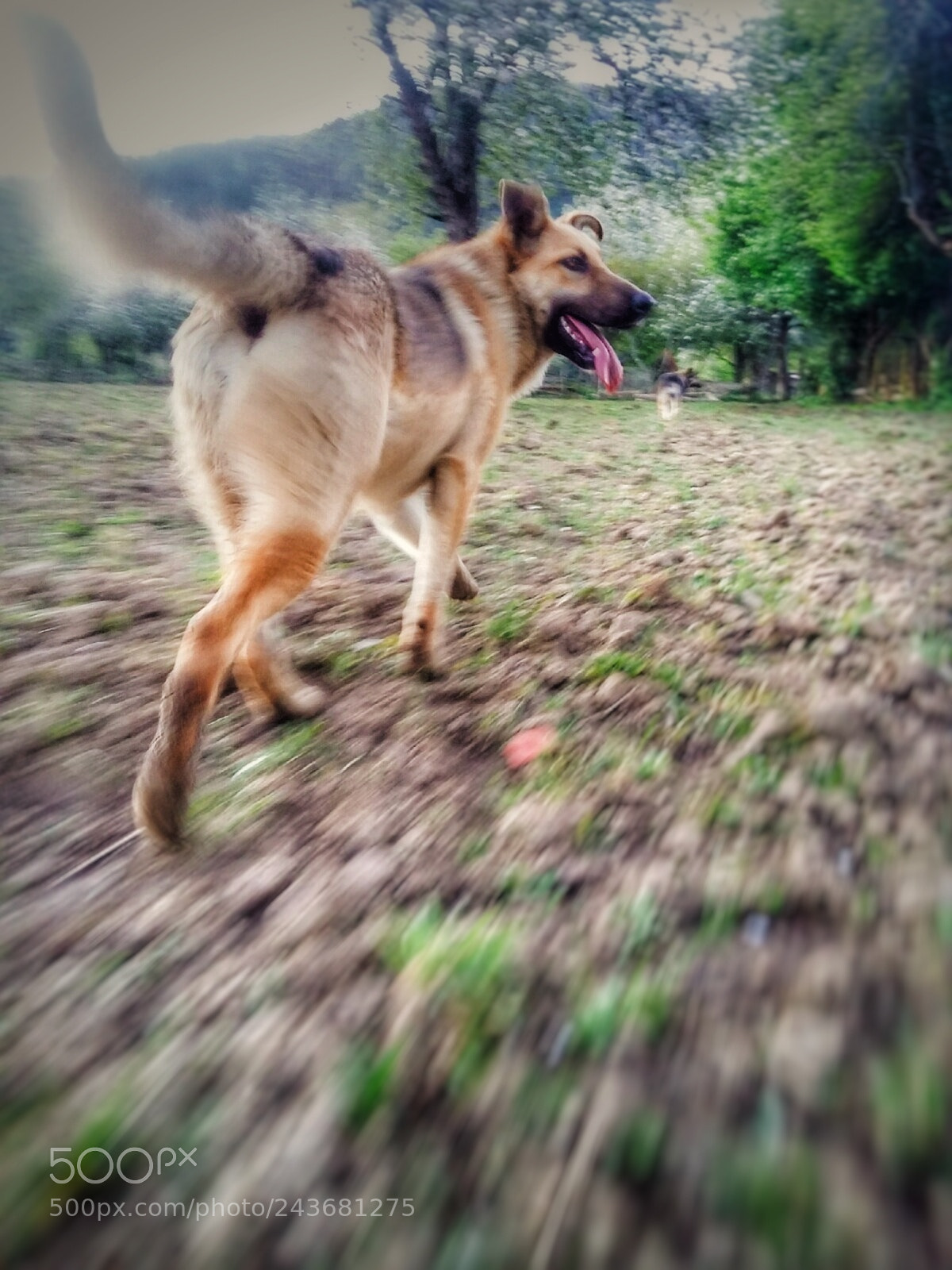 Samsung Galaxy Grand Prime sample photo. De paseo photography