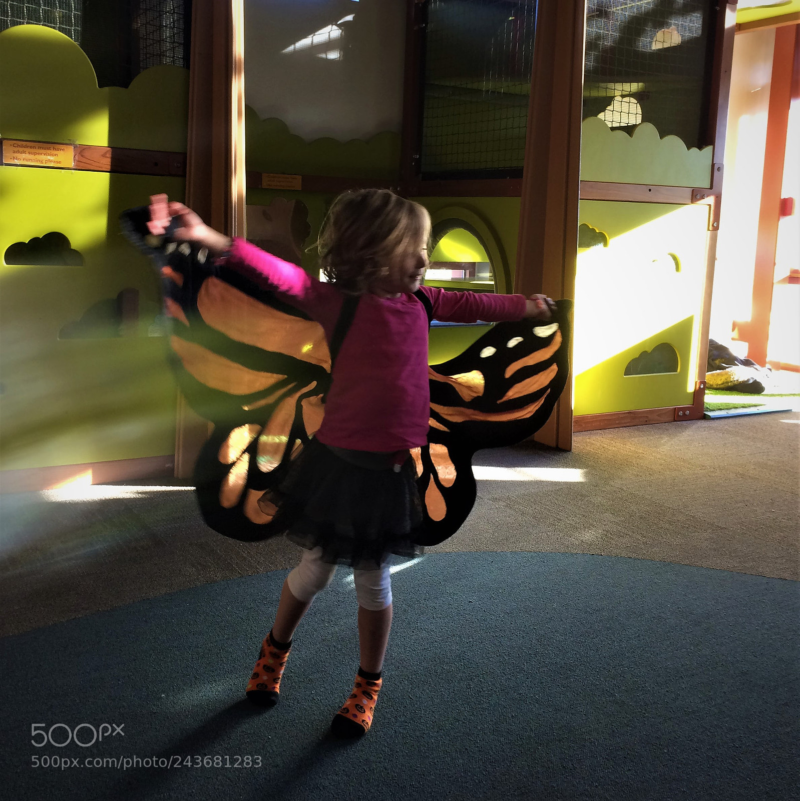 Apple iPhone 5s sample photo. Monarch in flight photography
