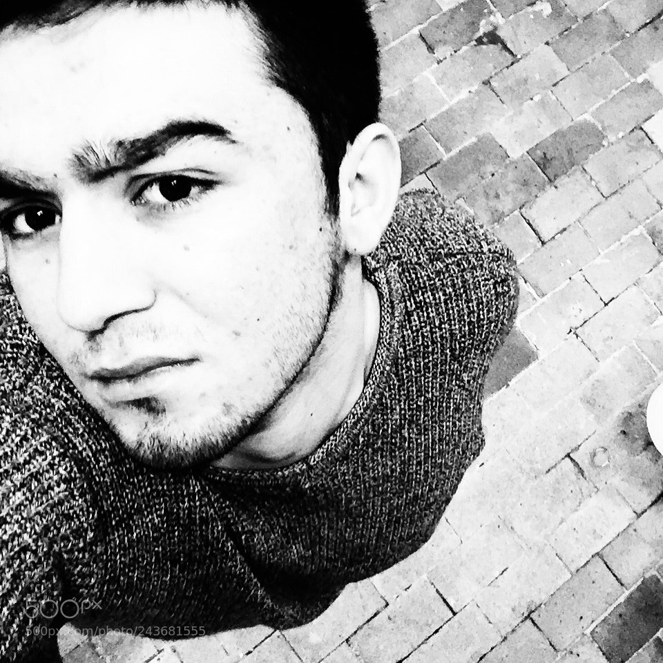 Apple iPhone 6 sample photo. Untitled photography