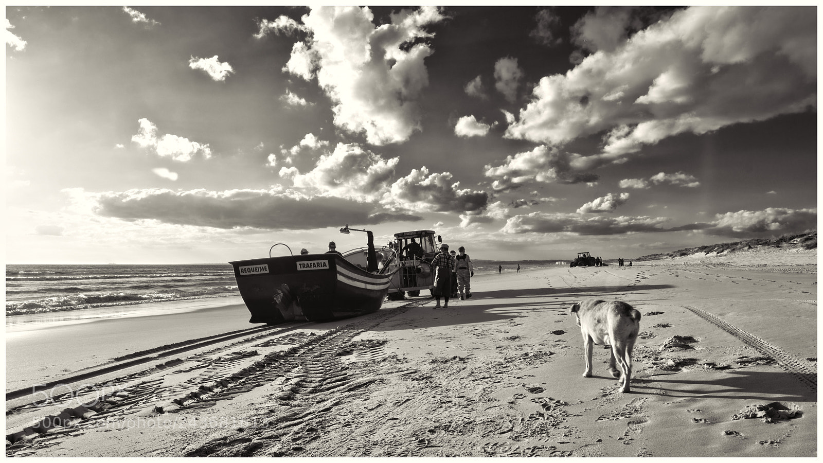 Nikon D7200 sample photo. The fishermen's dog photography
