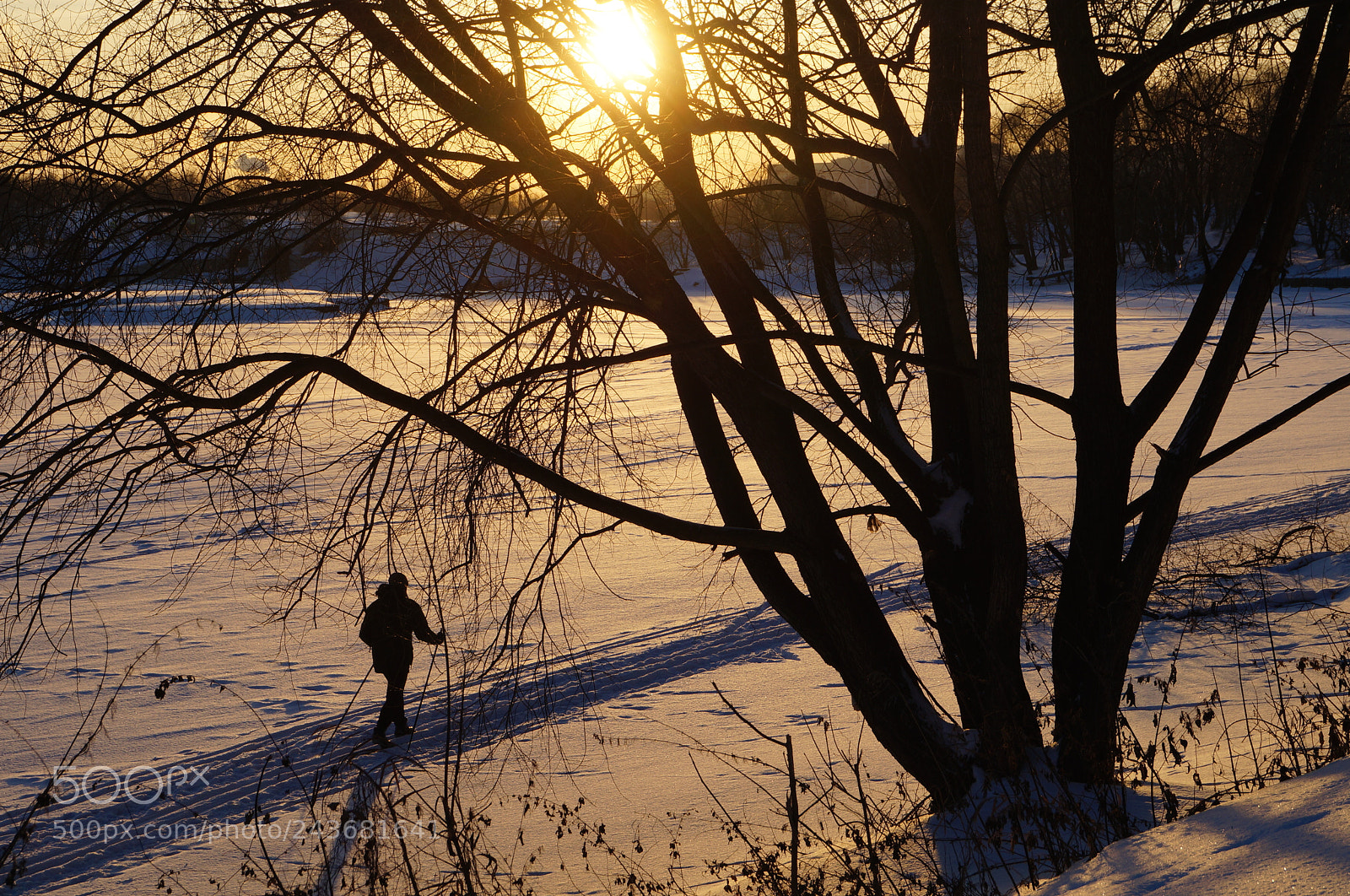 Sony SLT-A57 sample photo. Untitled photography