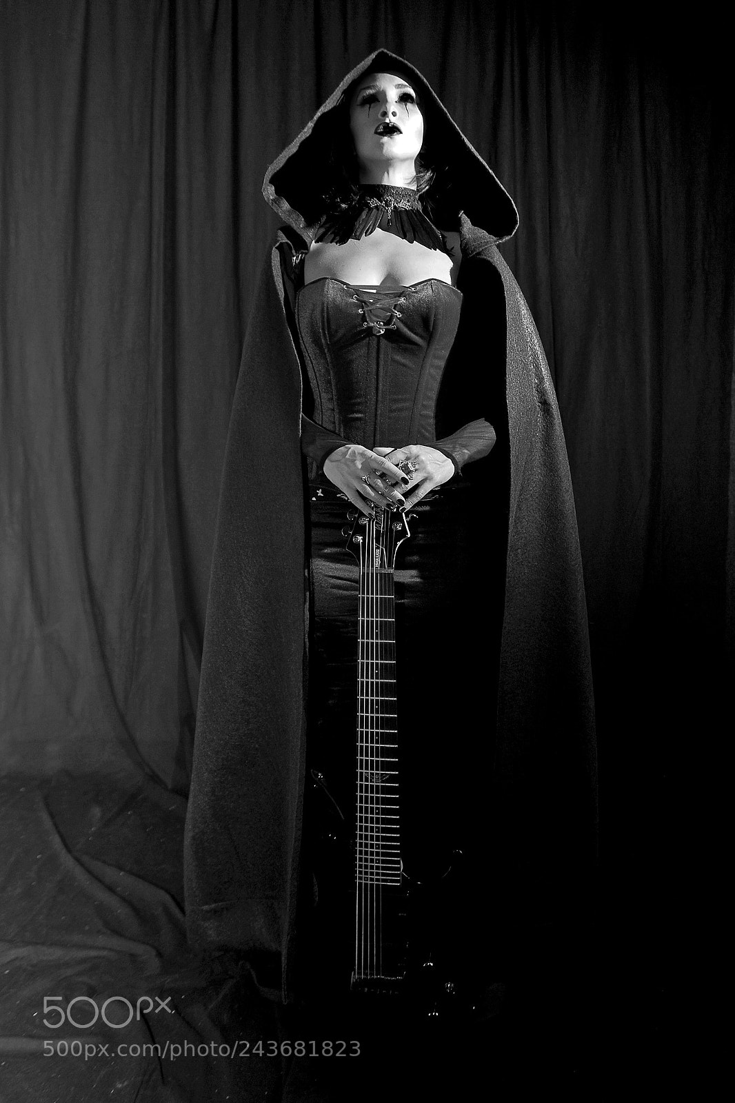 Nikon D700 sample photo. The raven in digital photography