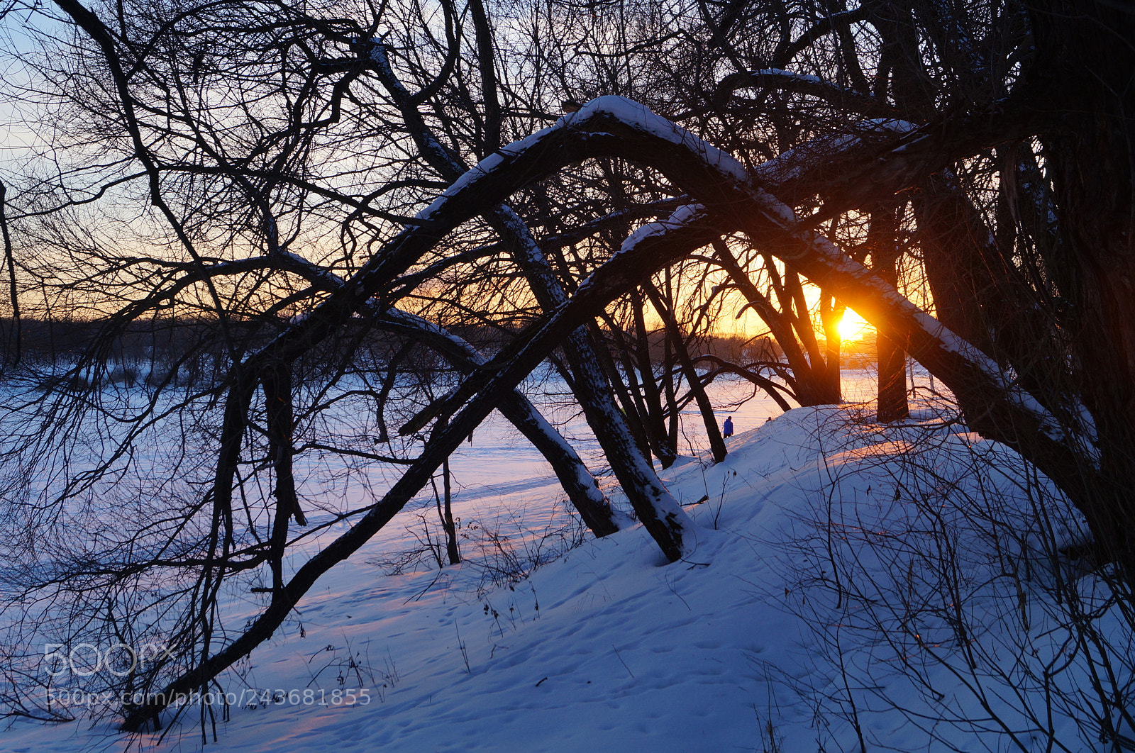 Sony SLT-A57 sample photo. Untitled photography