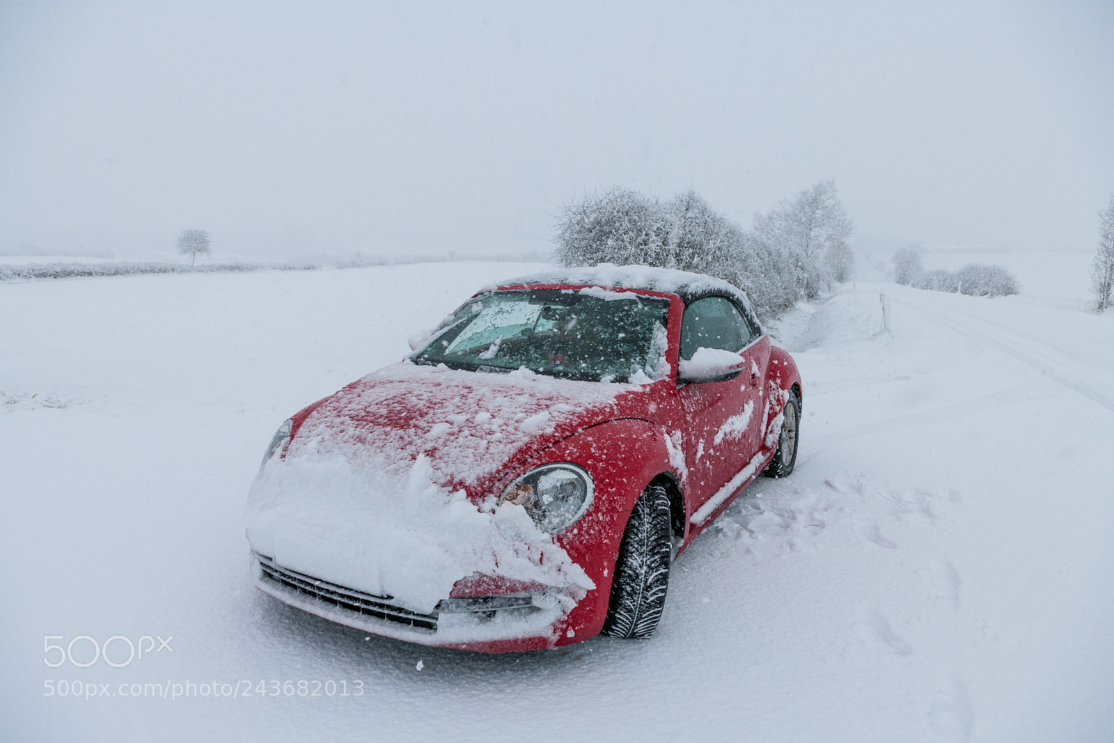 Canon EOS-1Ds Mark II sample photo. Winter time photography