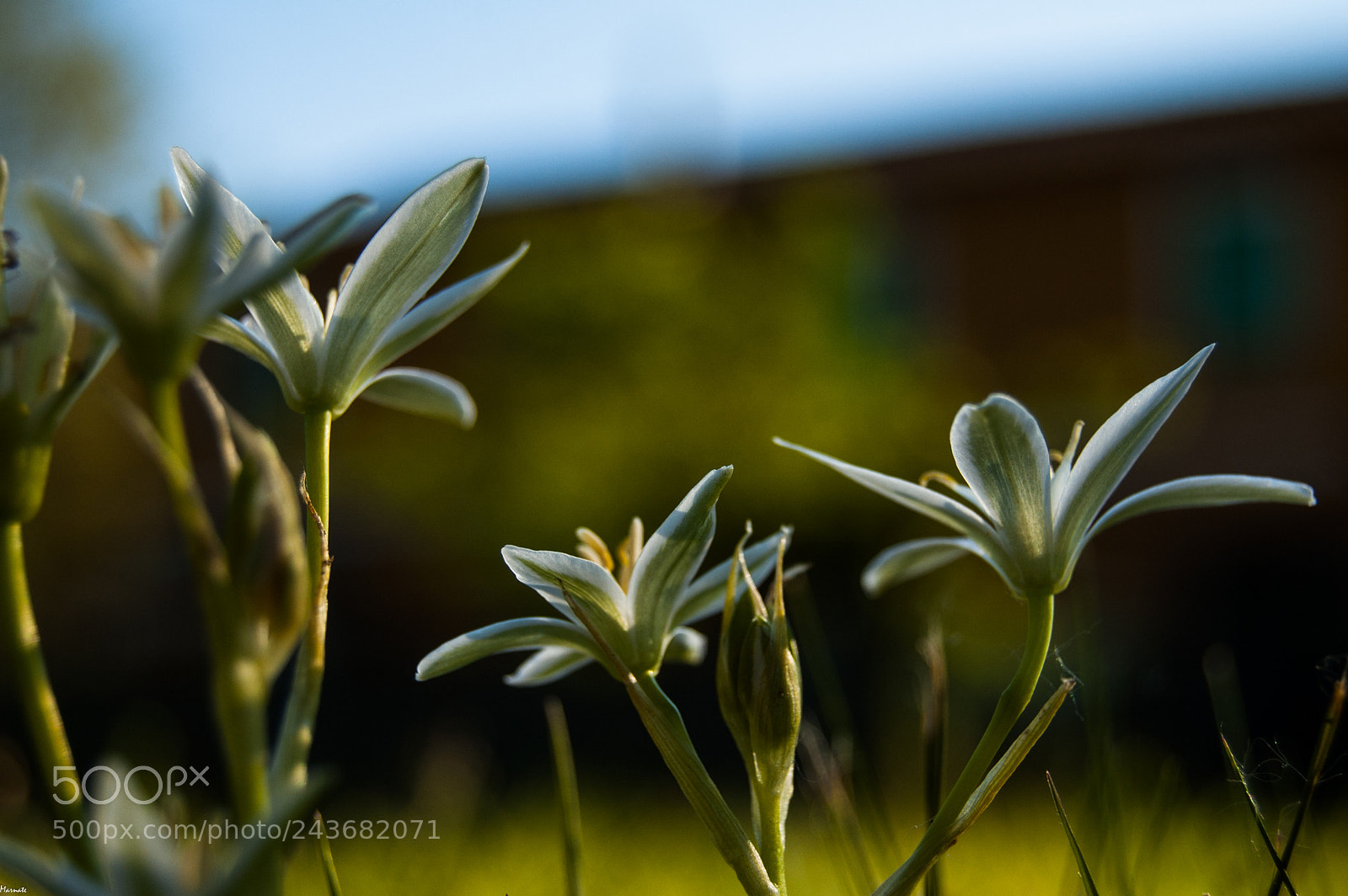 Nikon D50 sample photo. From another perspective ... photography