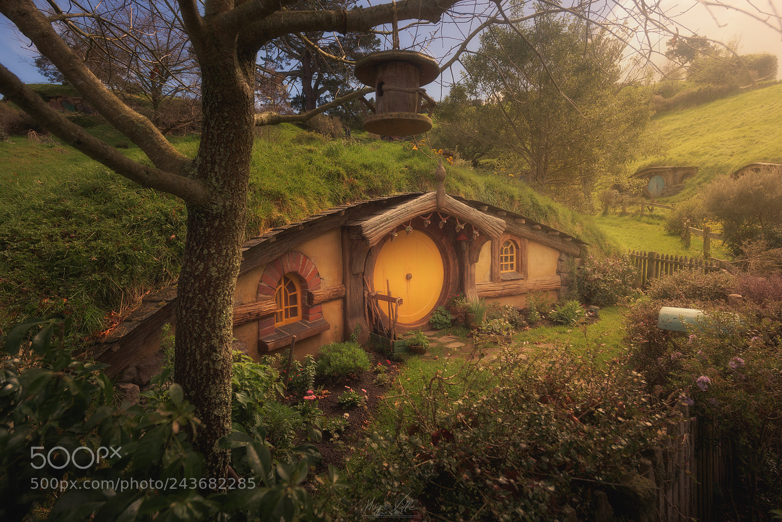 Nikon D810 sample photo. Hobbiton! photography