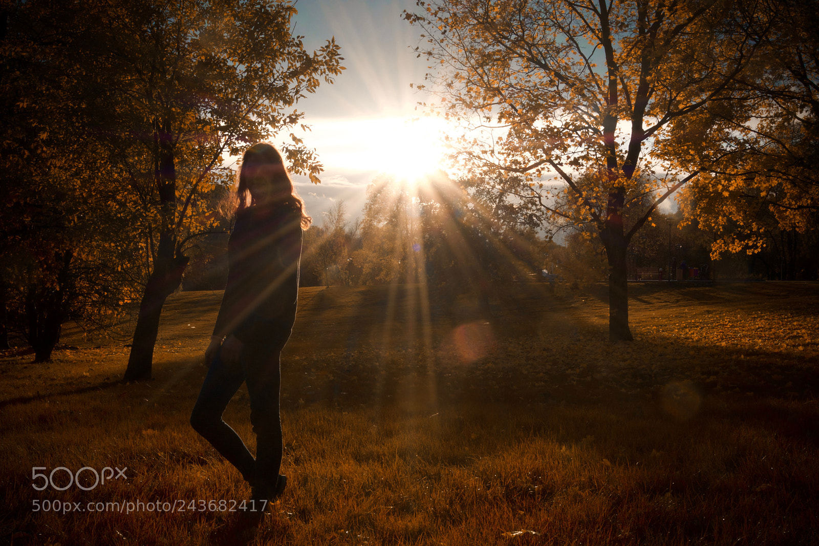Nikon D7100 sample photo. Sun photography