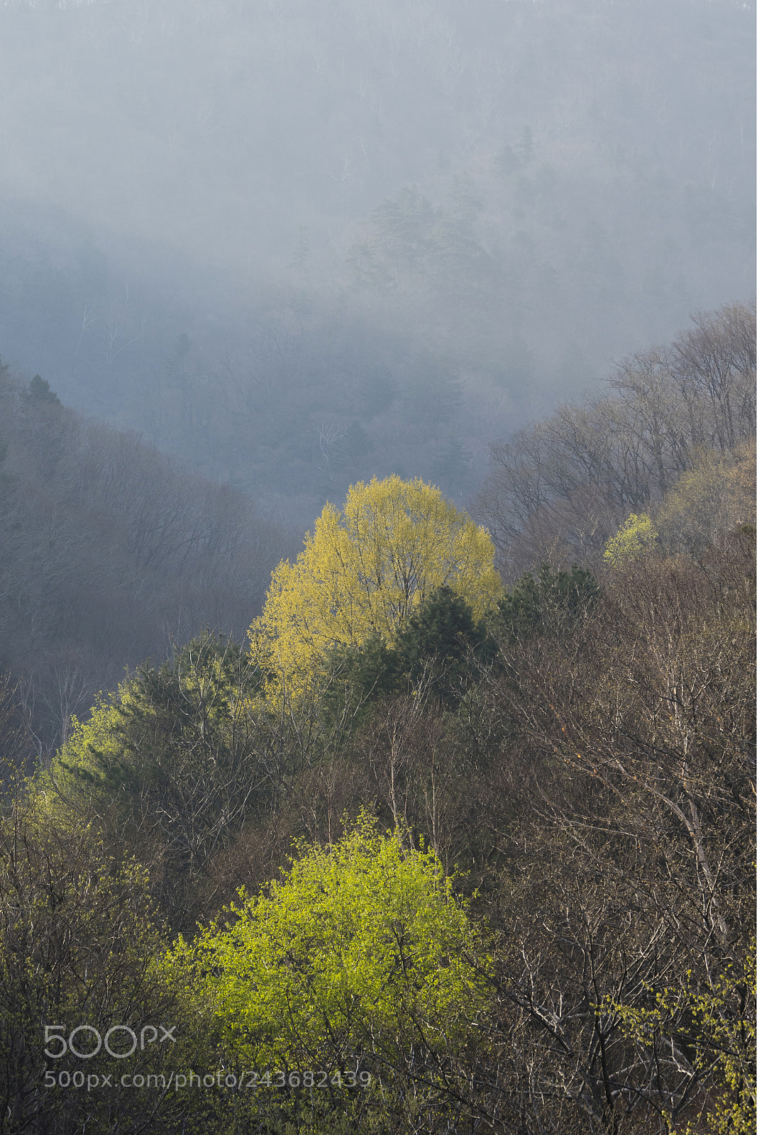 Pentax K-3 sample photo. 수정 xcm photography