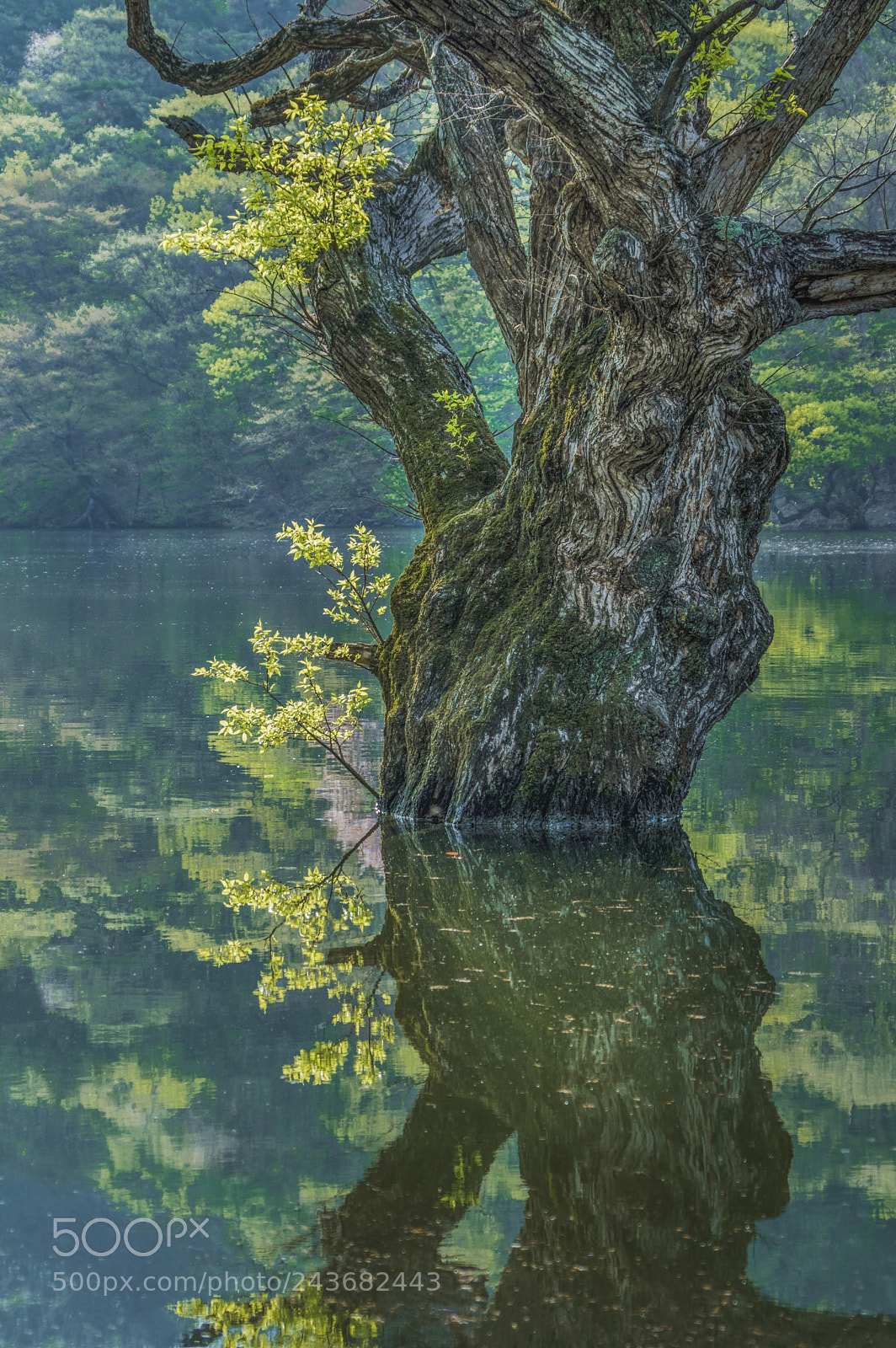 Pentax K-3 sample photo. 수정r xcm photography