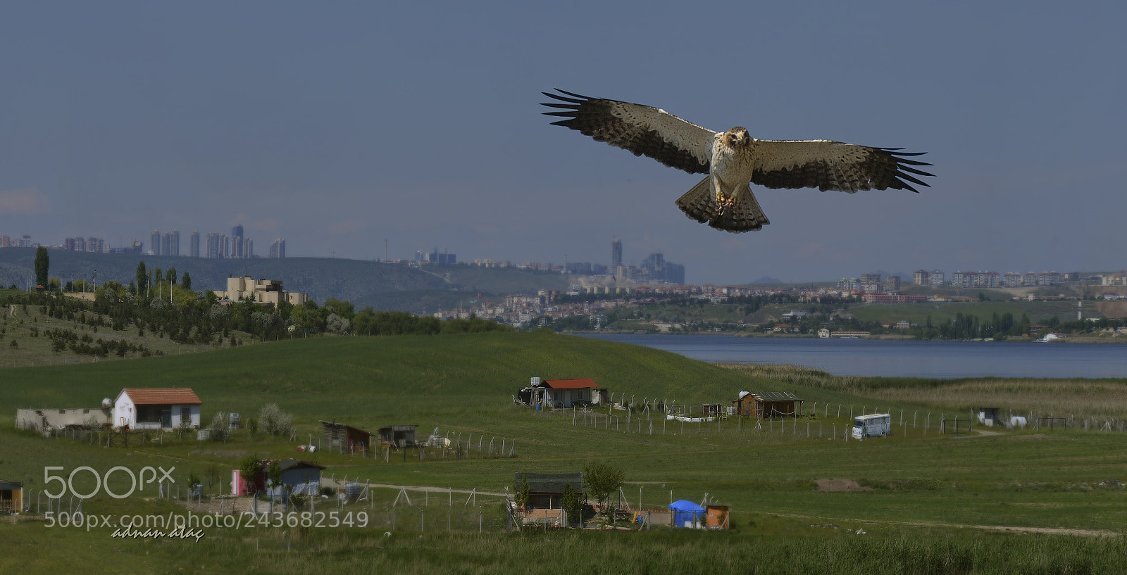 Nikon D5 sample photo. K k kartal photography
