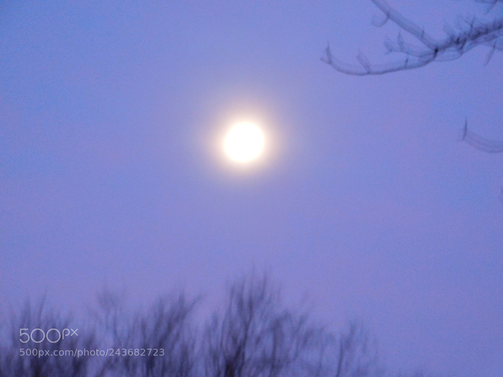 Nikon Coolpix B500 sample photo. Morning super moon photography
