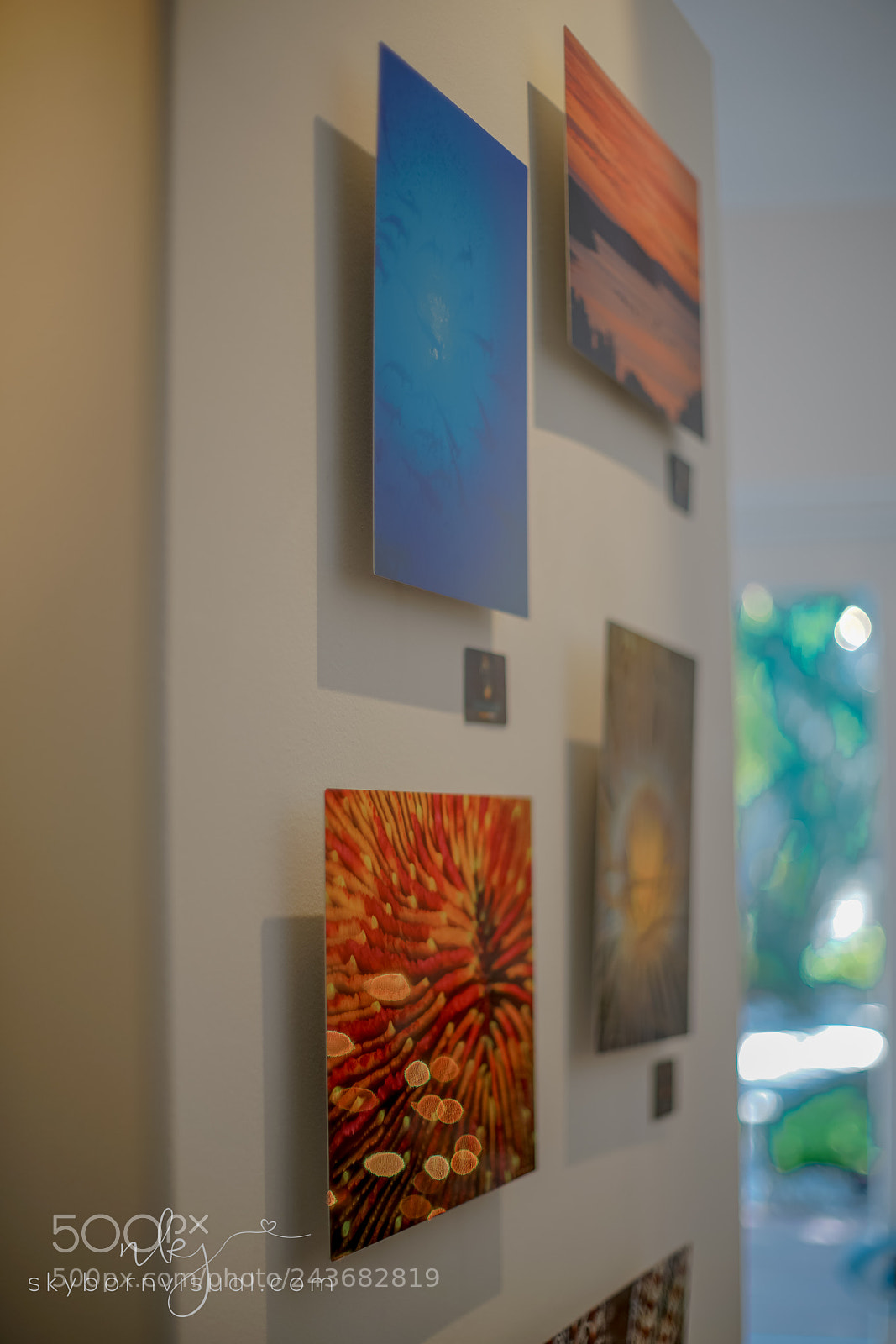 Sony a7R II sample photo. Galleryresortfish photography