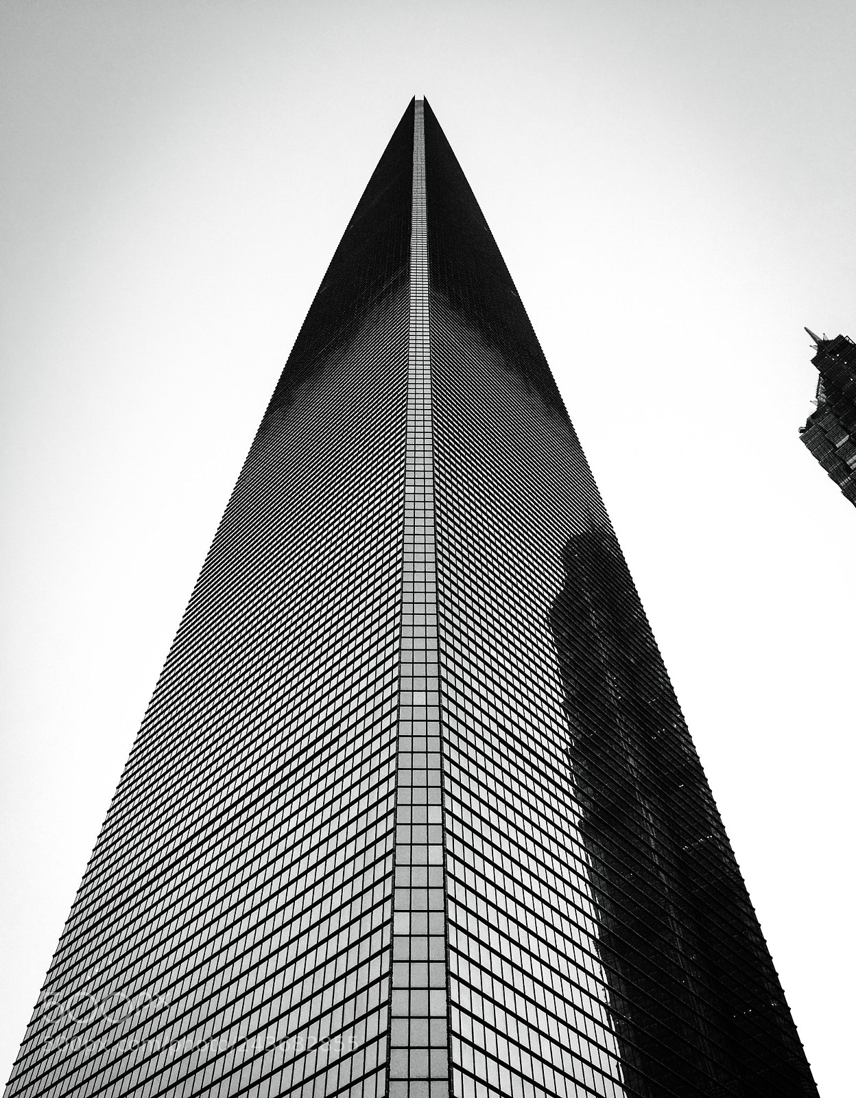 Apple iPhone 6 Plus sample photo. Swfc photography
