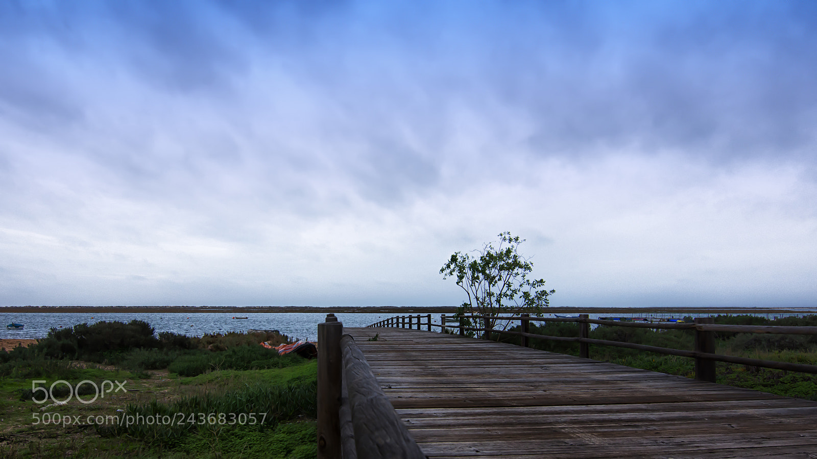 Nikon D7200 sample photo. Path photography