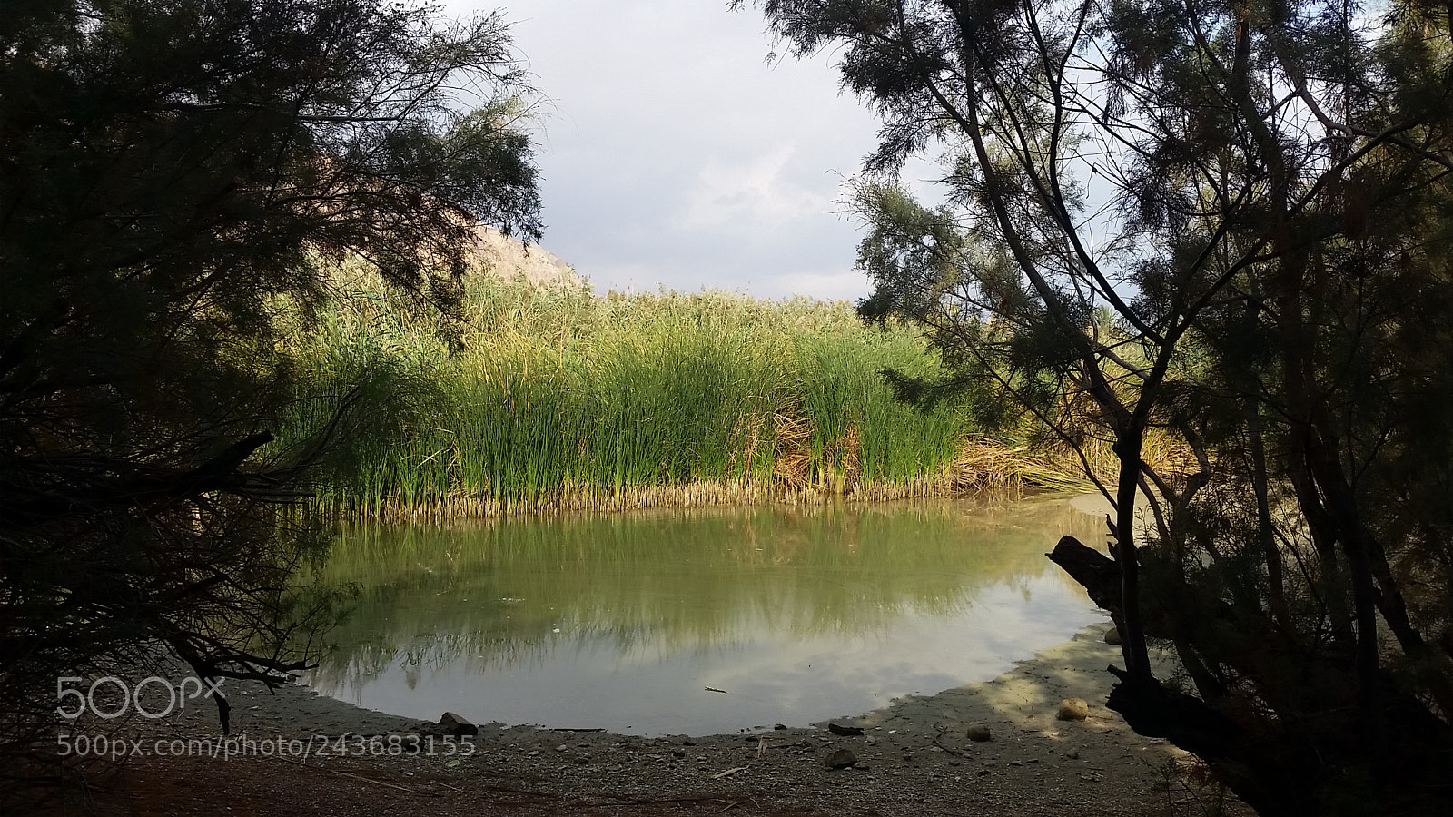 Samsung Galaxy S5 sample photo. The lake in einot photography