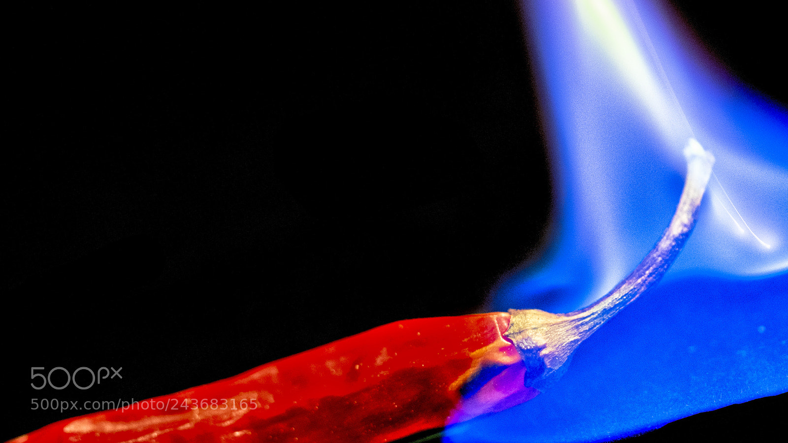 Nikon D7200 sample photo. Hot chilli photography