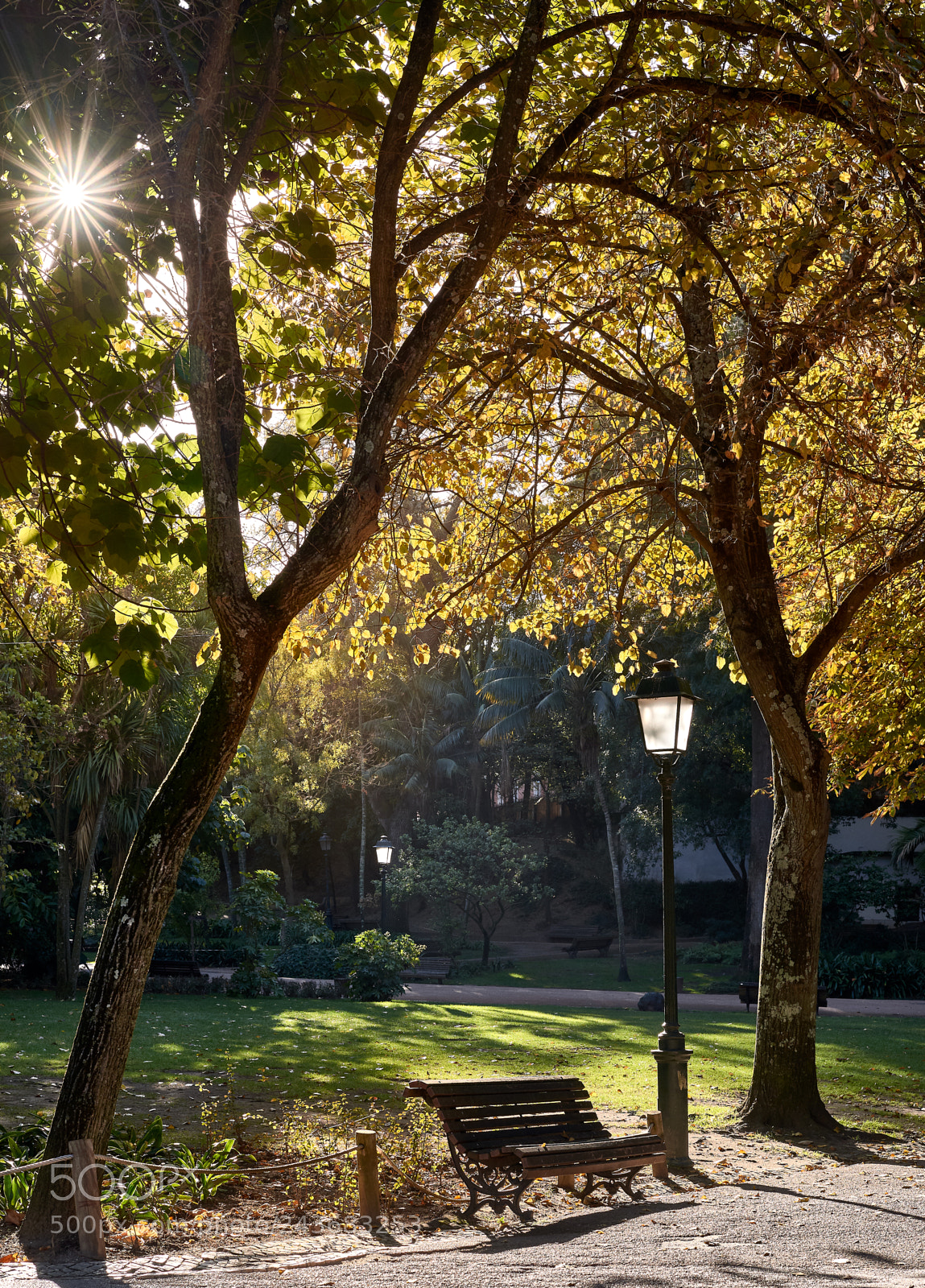 Nikon D610 sample photo. A nice place photography