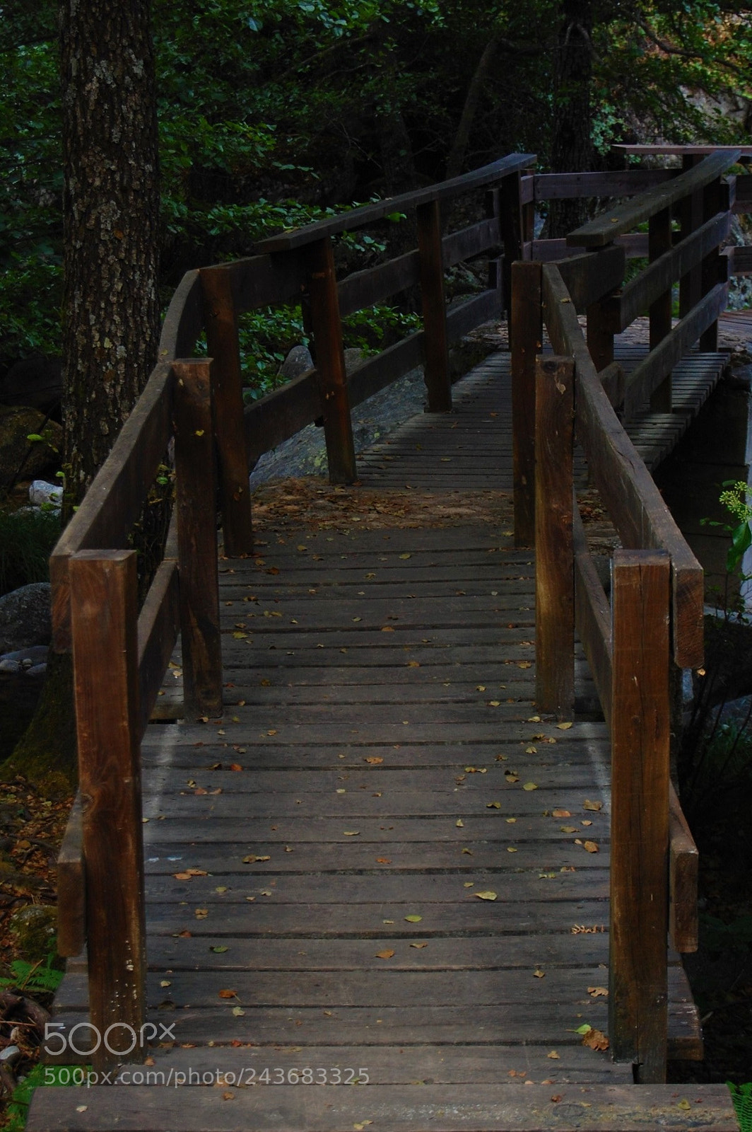 Nikon D40 sample photo. Country dweller photography