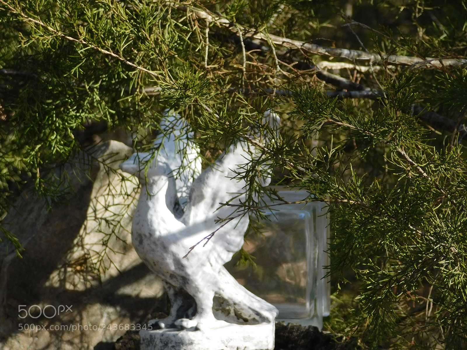 Nikon Coolpix B500 sample photo. Statue under the cedar photography