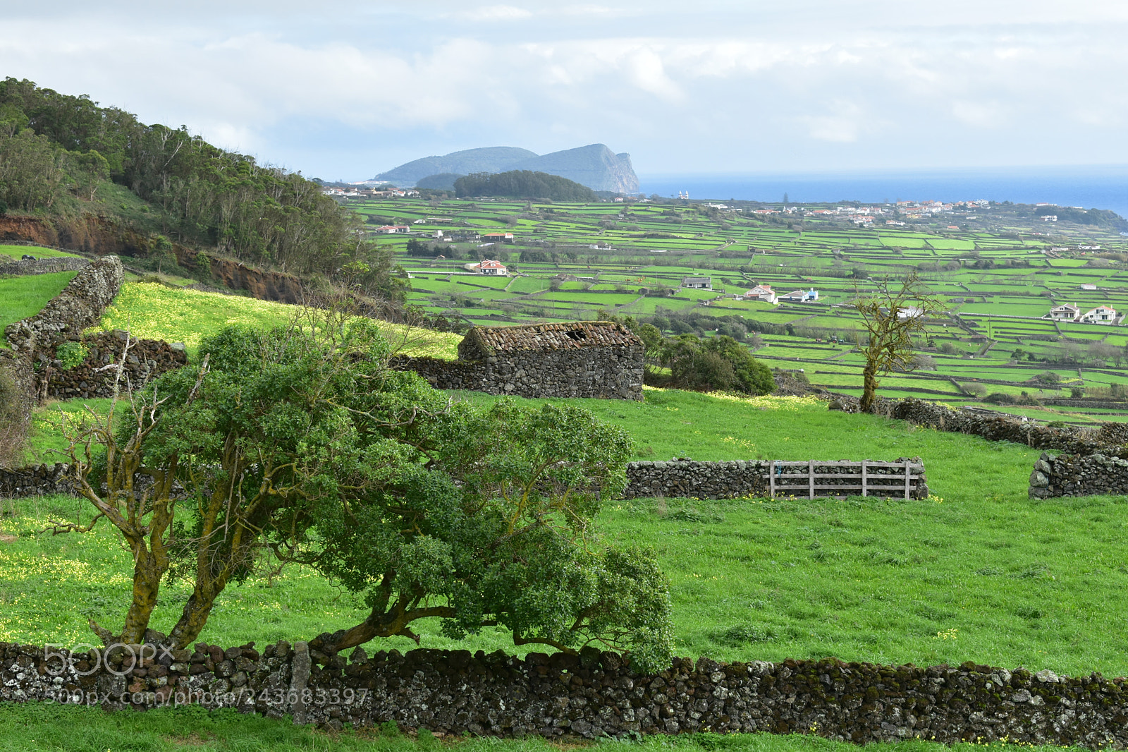 Nikon D5600 sample photo. Verde photography