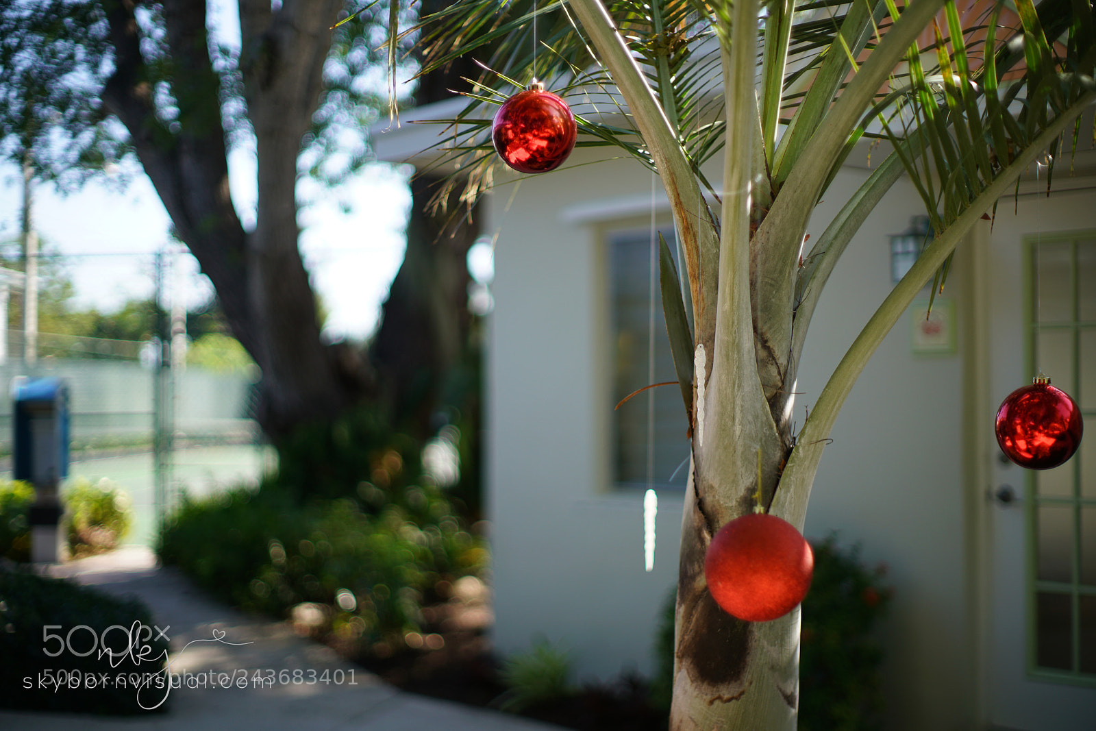 Sony a7R II sample photo. Summersleighbells photography