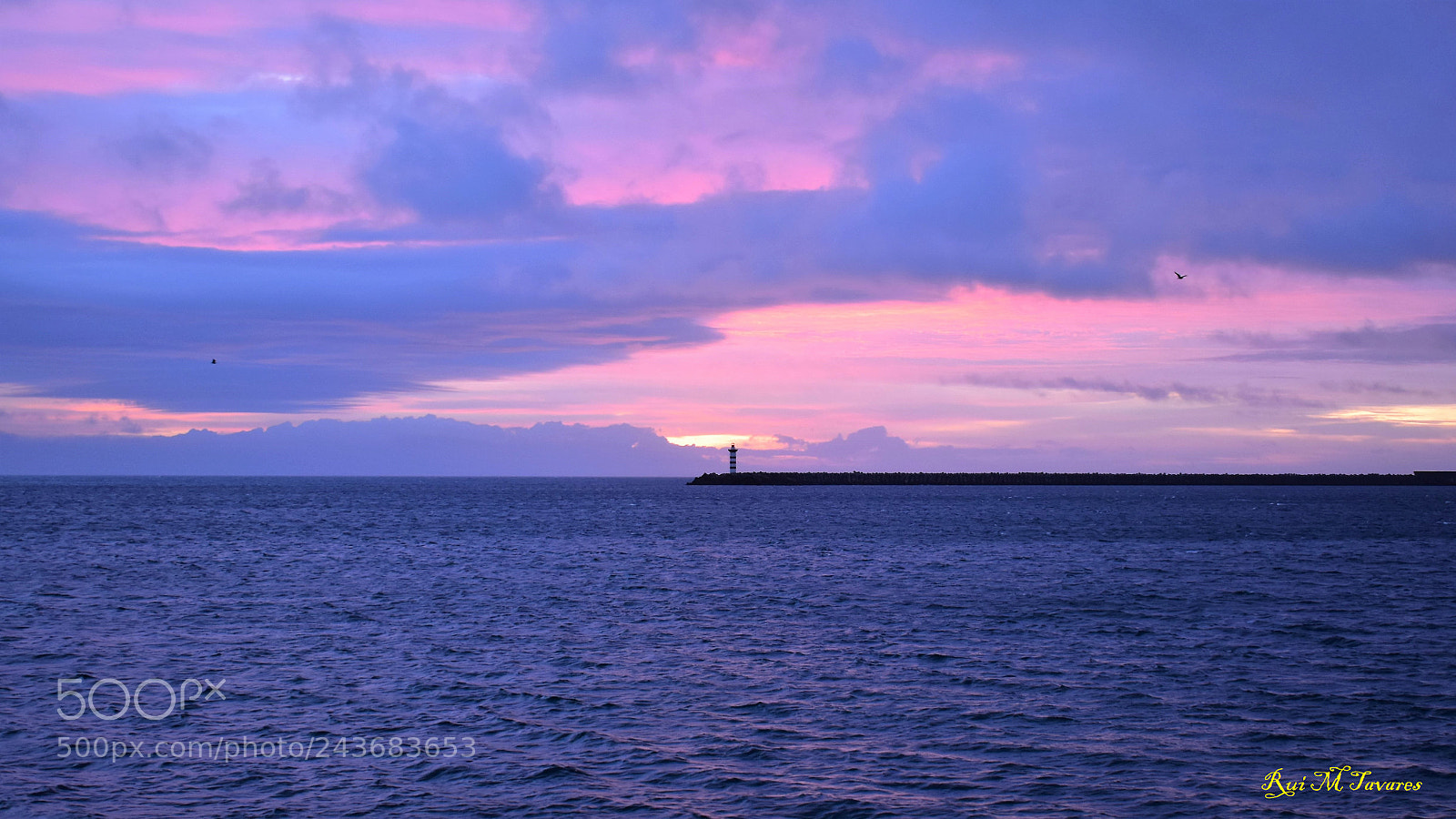Nikon D5600 sample photo. Farol photography