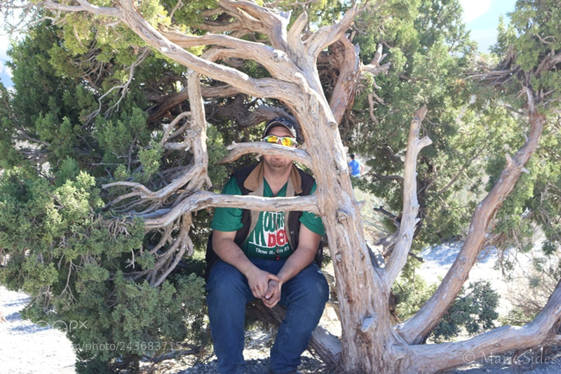 Canon EOS 100D (EOS Rebel SL1 / EOS Kiss X7) sample photo. Justin in a tree photography
