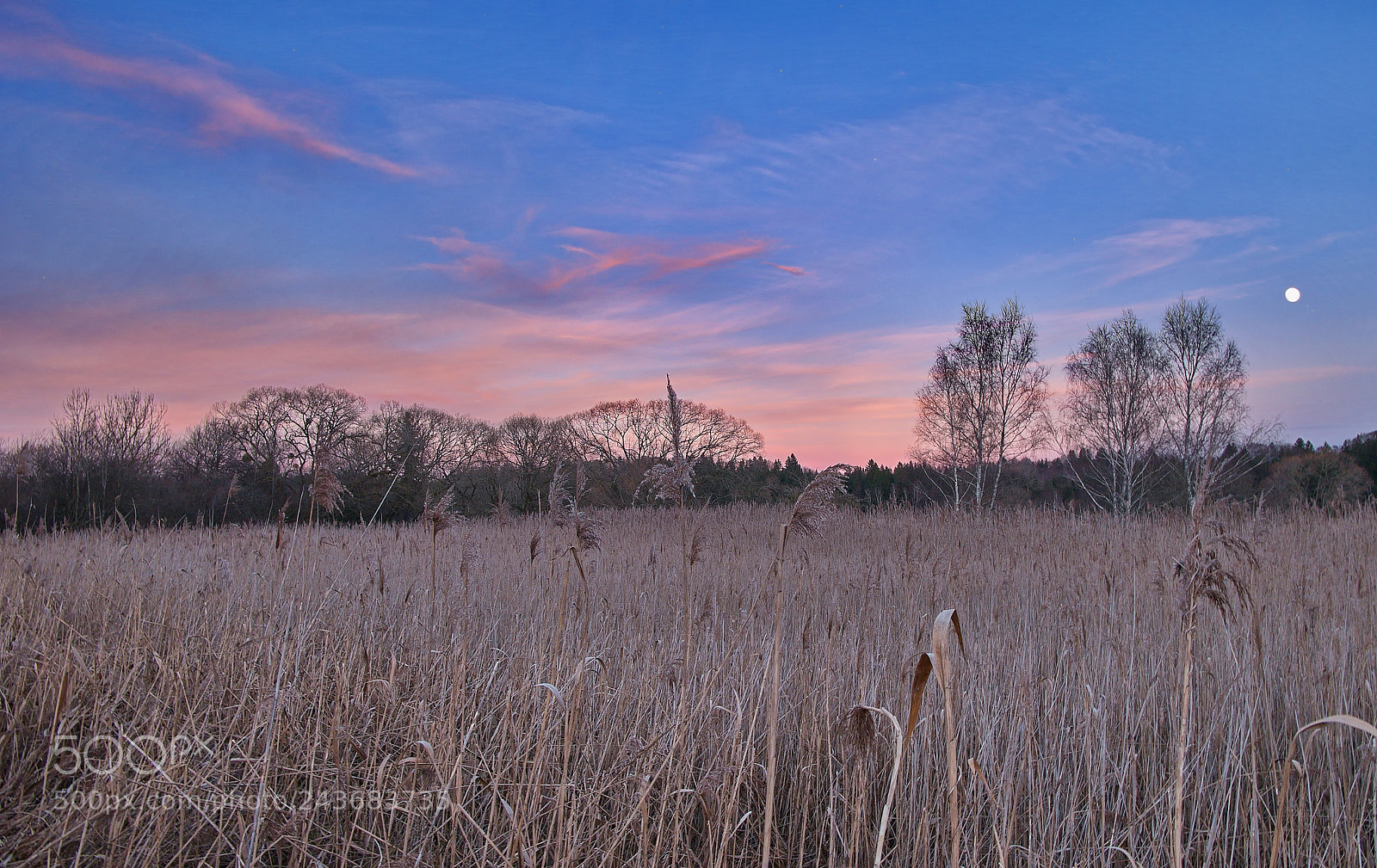 Panasonic Lumix DMC-GM1 sample photo. Twilight zone photography