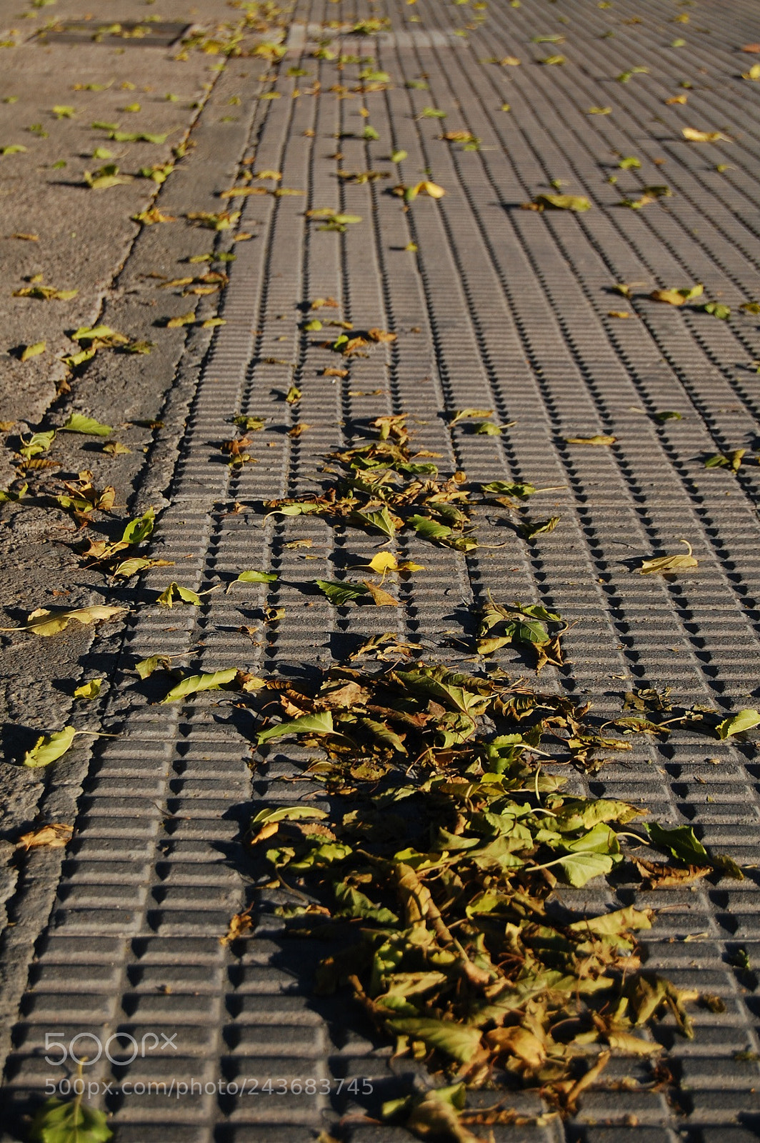 Nikon D40 sample photo. City dweller photography