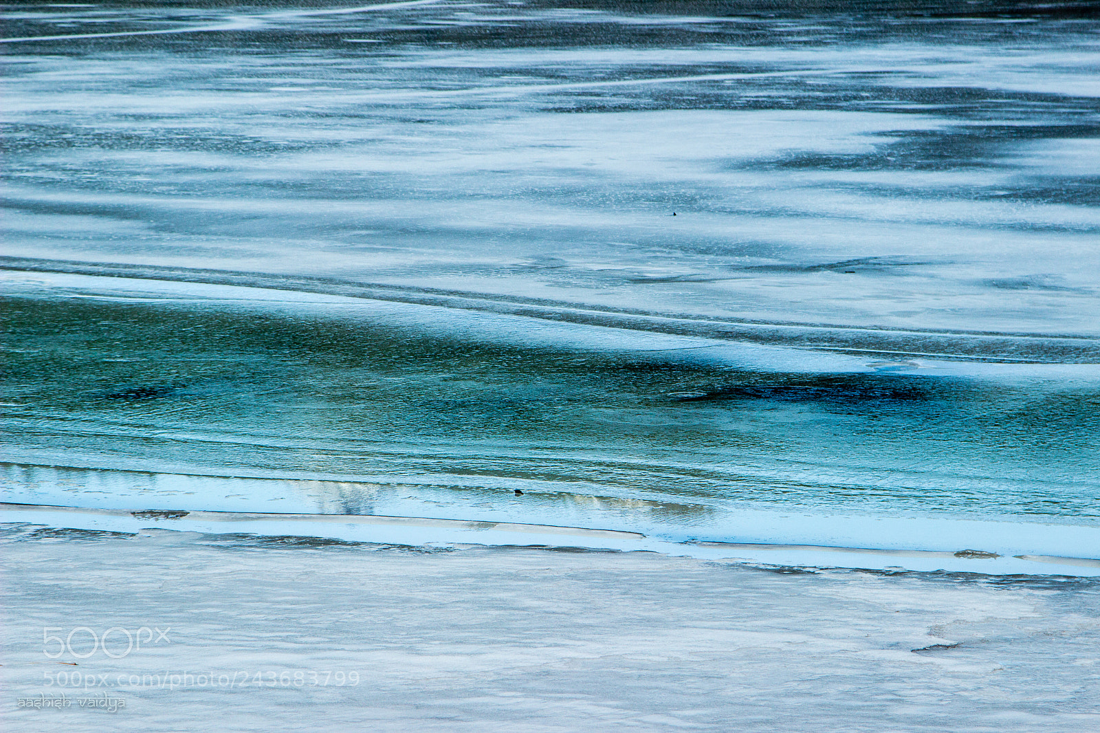 Canon EOS 600D (Rebel EOS T3i / EOS Kiss X5) sample photo. Details of a frozen photography