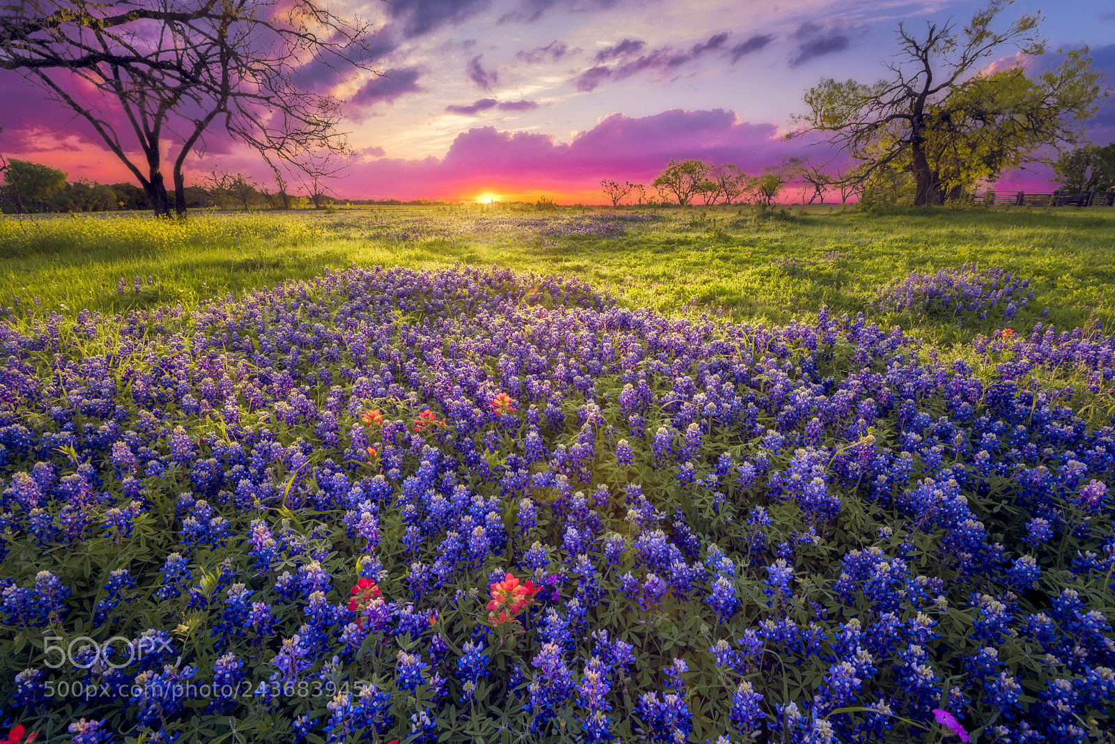 Nikon D610 sample photo. Sunrise in the texas photography