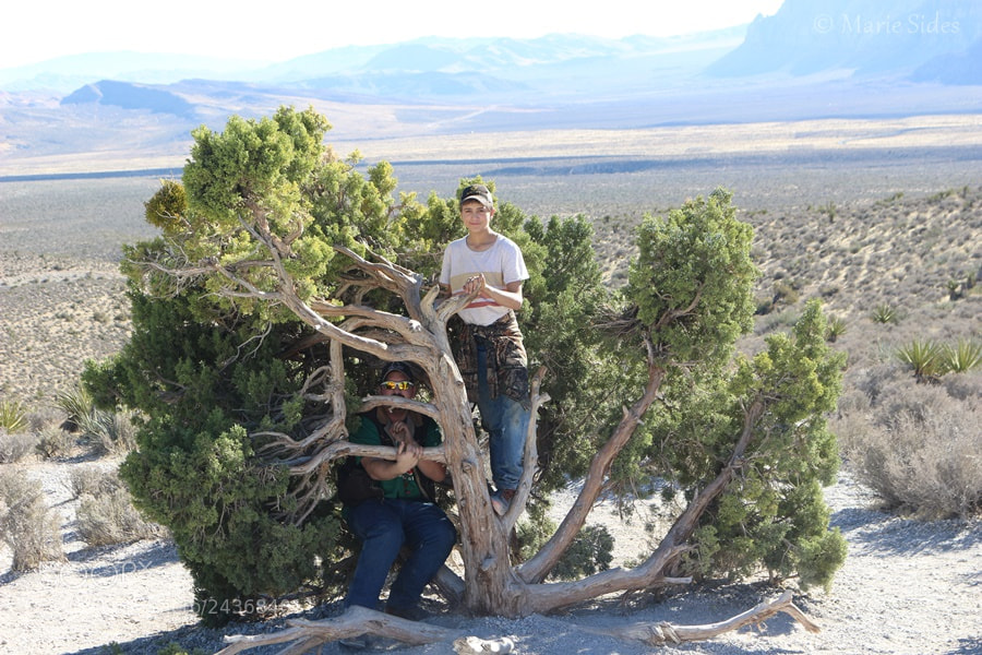 Canon EOS 100D (EOS Rebel SL1 / EOS Kiss X7) sample photo. Boys in a tree photography