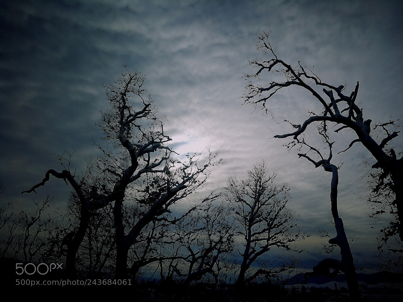 HUAWEI P10 sample photo. Untitled photography