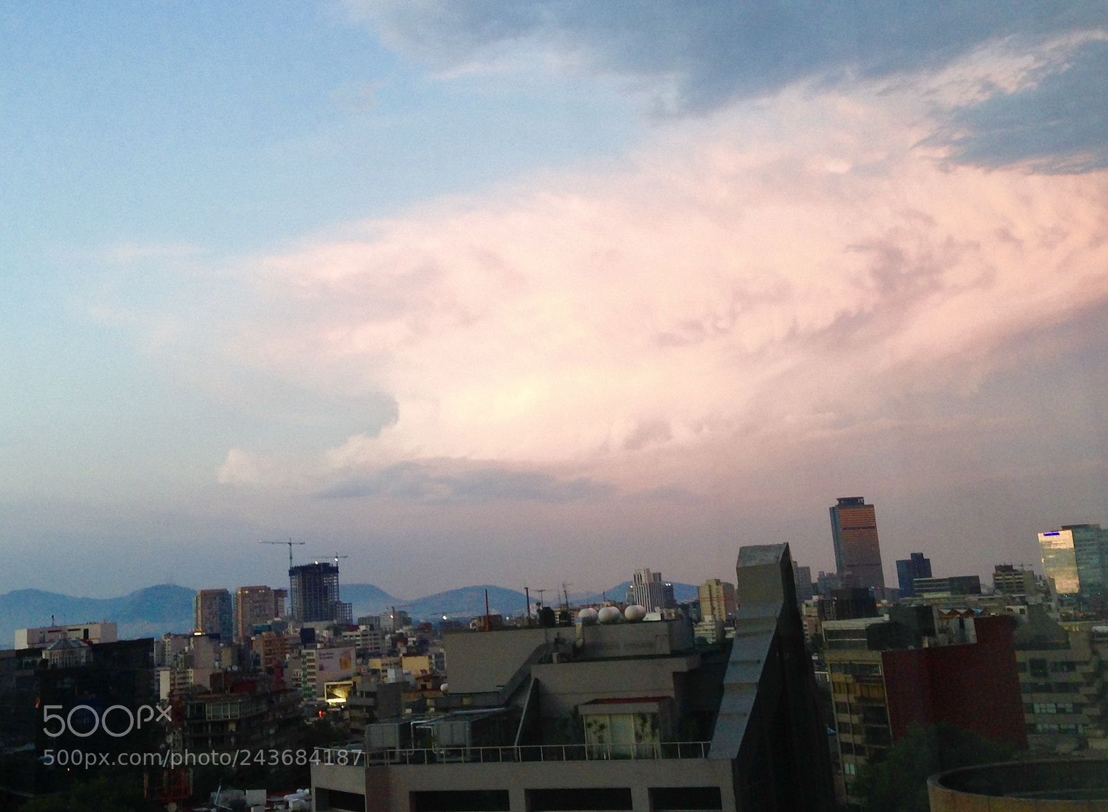 Apple iPhone 5c sample photo. Untitled photography
