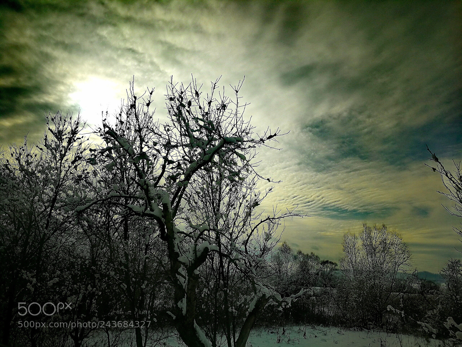 HUAWEI P10 sample photo. Winter yellow sky photography