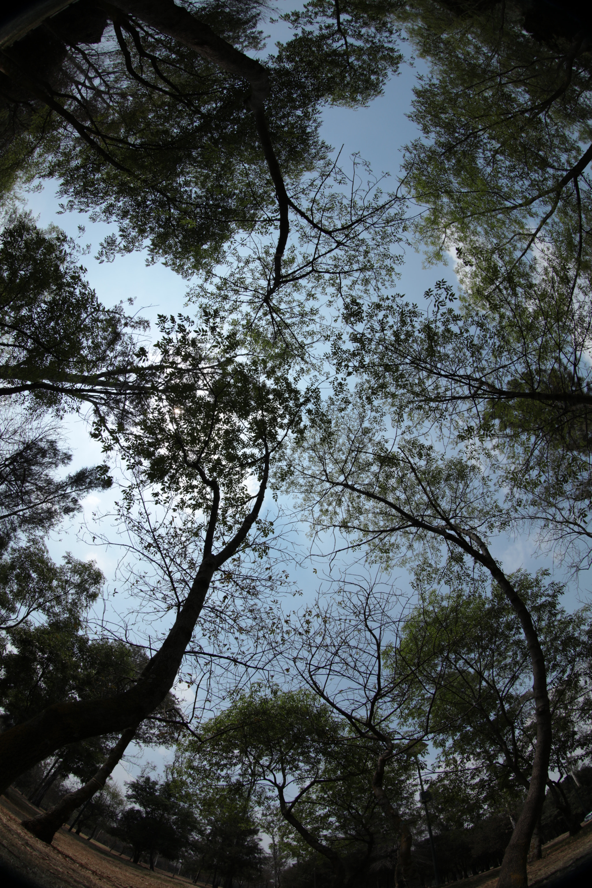 Canon EF 8-15mm F4L Fisheye USM sample photo. Mirando lo que algún día fui. somos piezas  ... photography