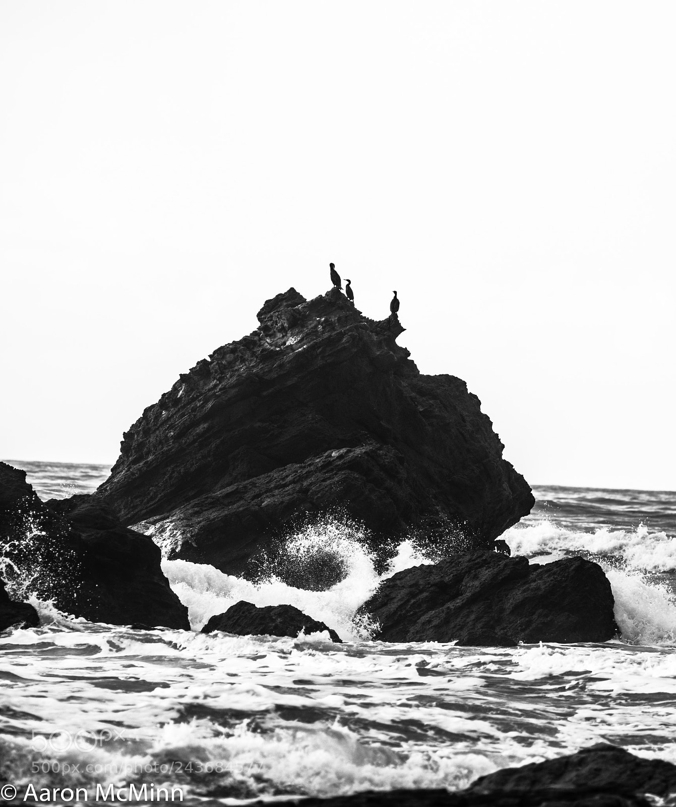 Canon EOS 7D Mark II sample photo. Yin yang photography