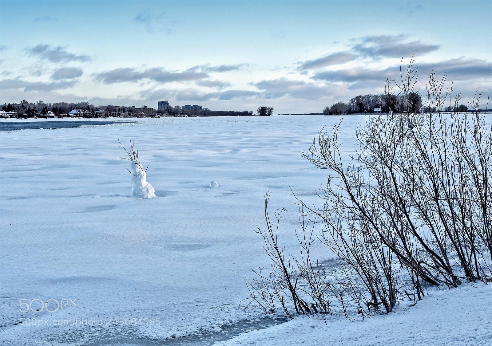 Olympus OM-D E-M5 II sample photo. Winter day photography