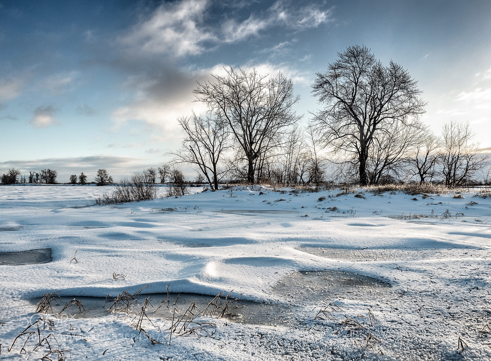 Olympus OM-D E-M5 II sample photo. Winter day photography