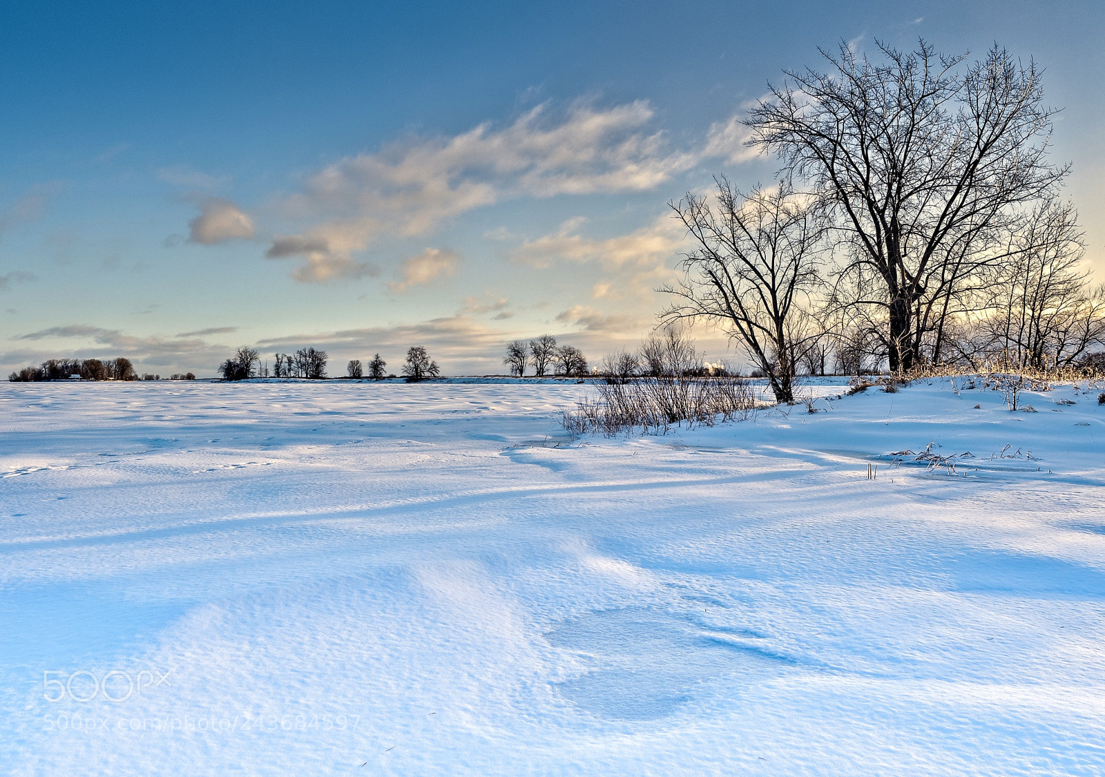 Olympus OM-D E-M5 II sample photo. Winter day photography