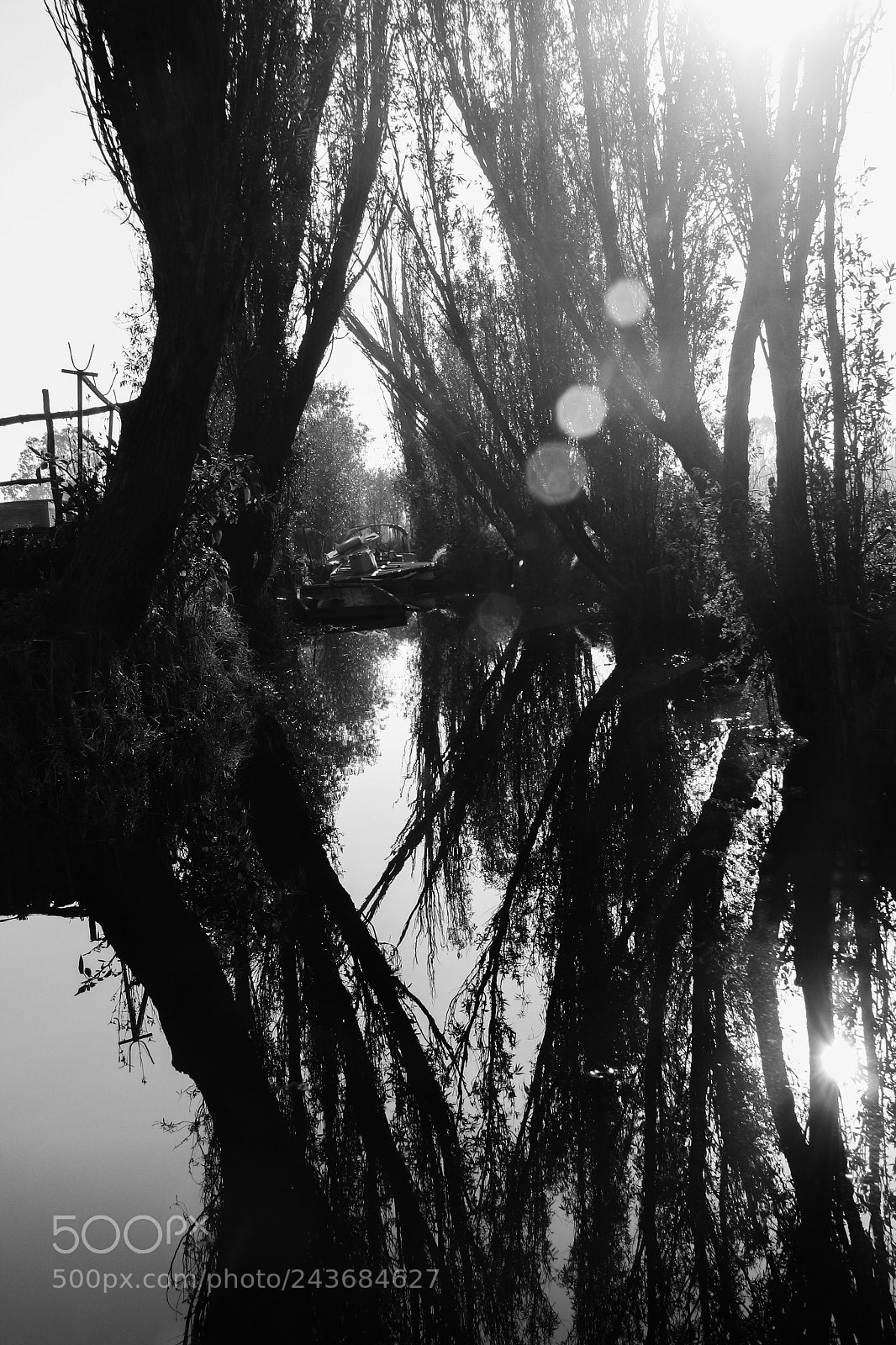 Canon EOS 700D (EOS Rebel T5i / EOS Kiss X7i) sample photo. Dos mundos.jpg photography