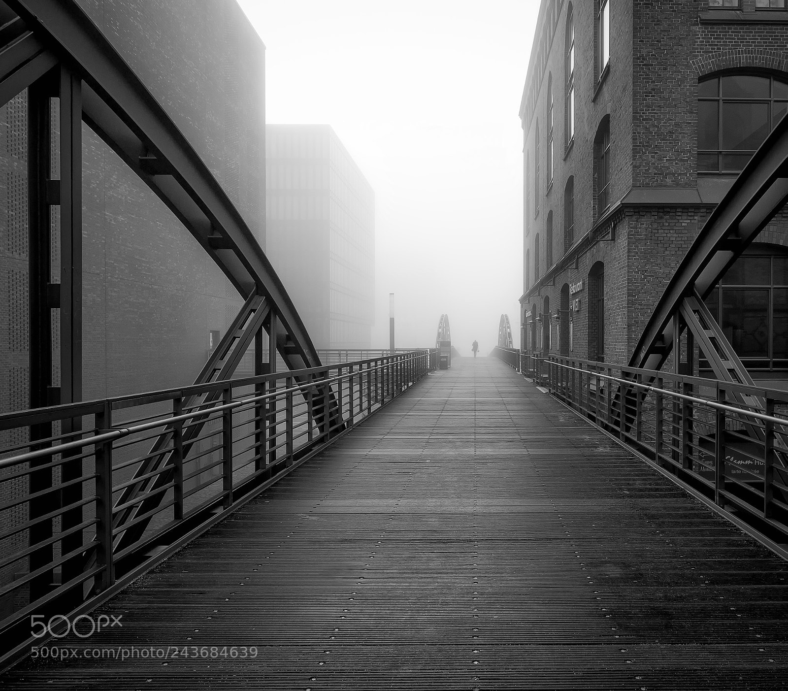 Fujifilm X-T2 sample photo. Fog photography