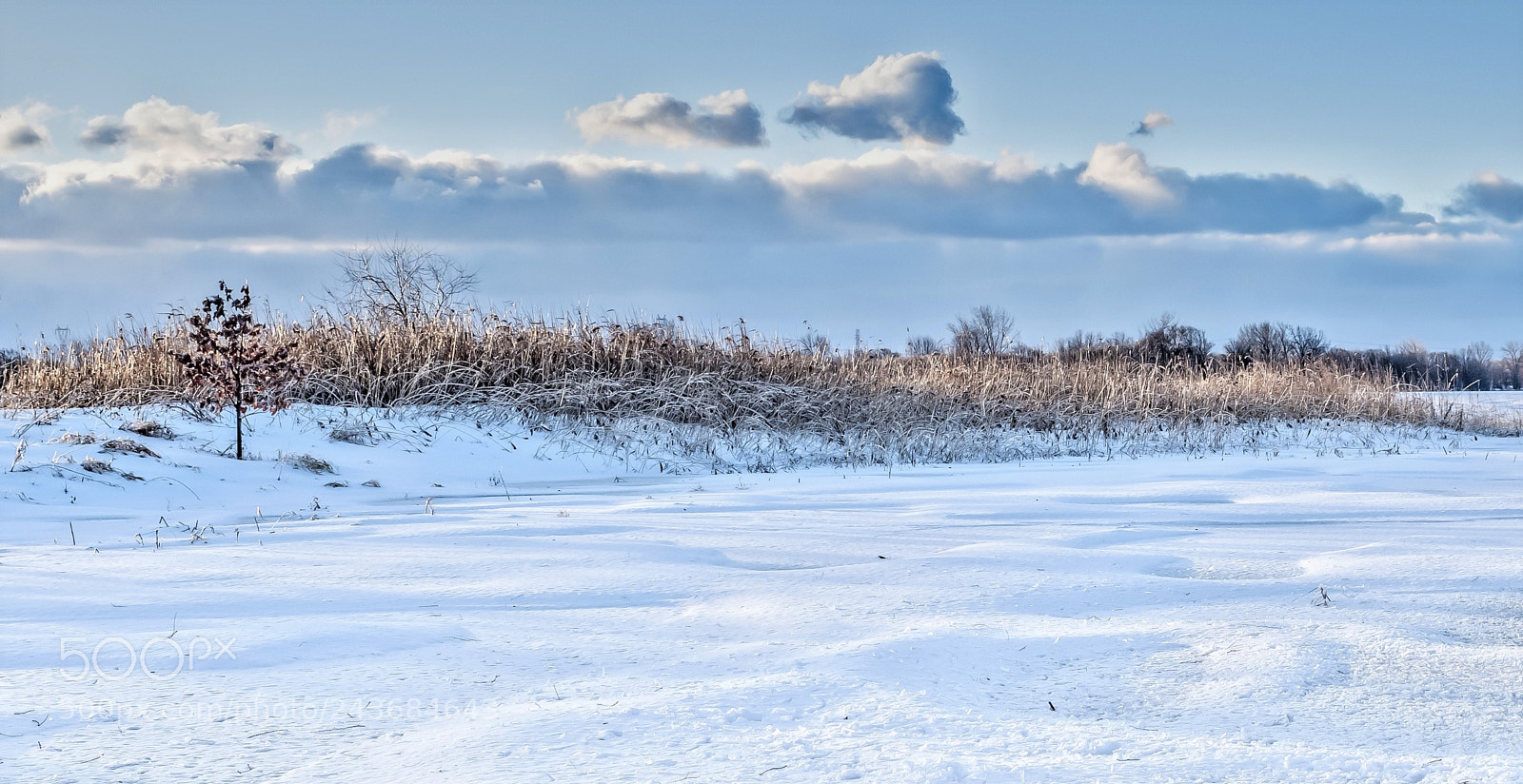 Olympus OM-D E-M5 II sample photo. Winter day photography