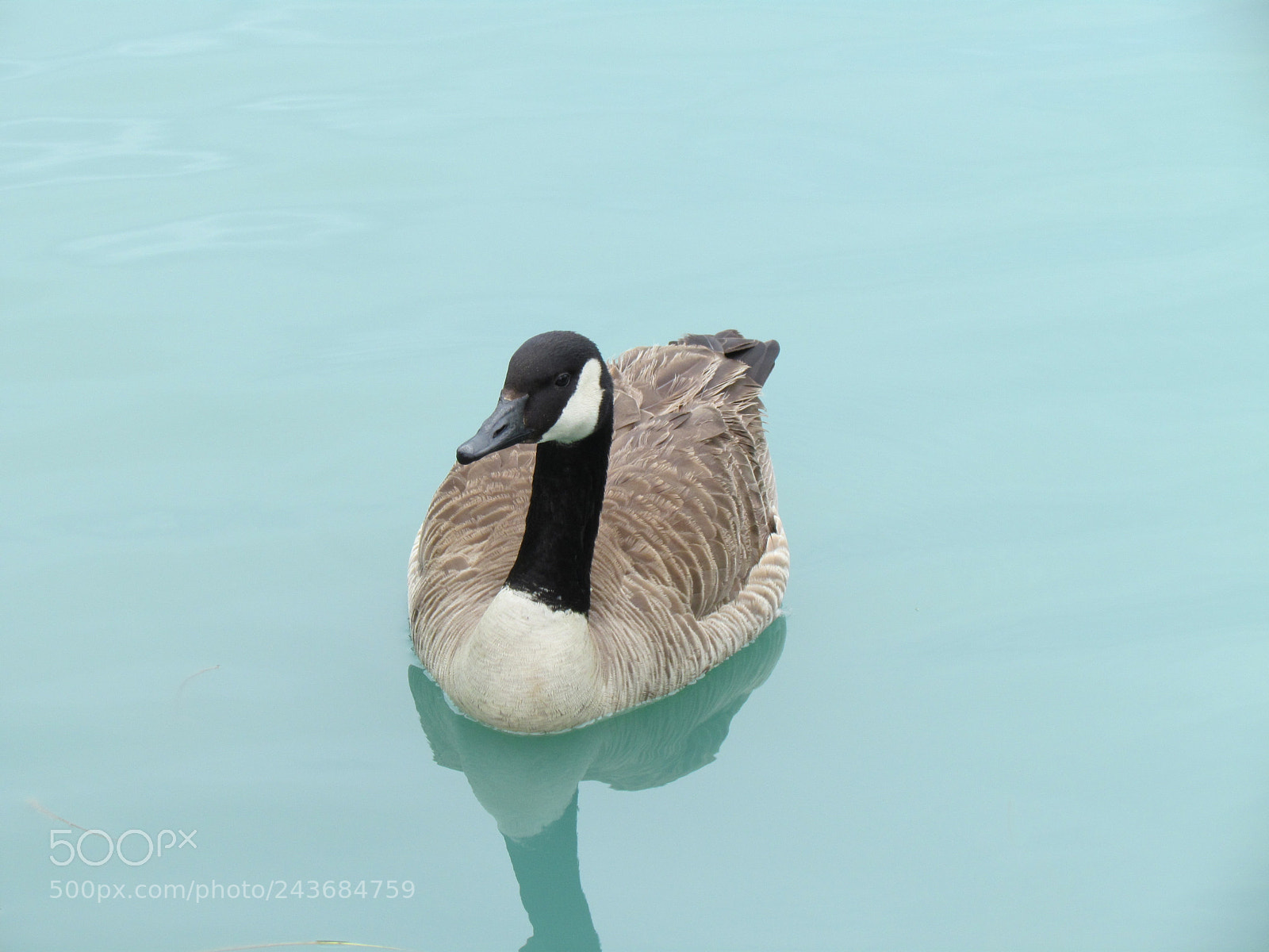 Canon PowerShot SX30 IS sample photo. Img photography