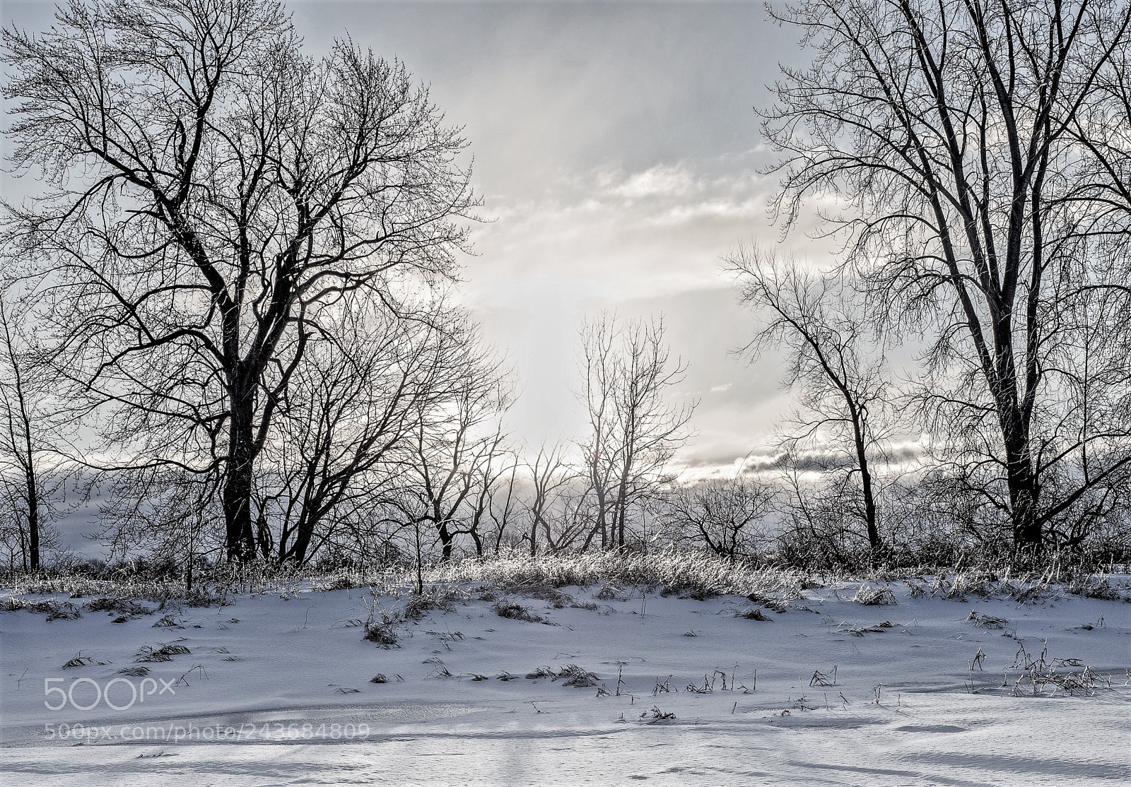 Olympus OM-D E-M5 II sample photo. Sunny winter morning photography