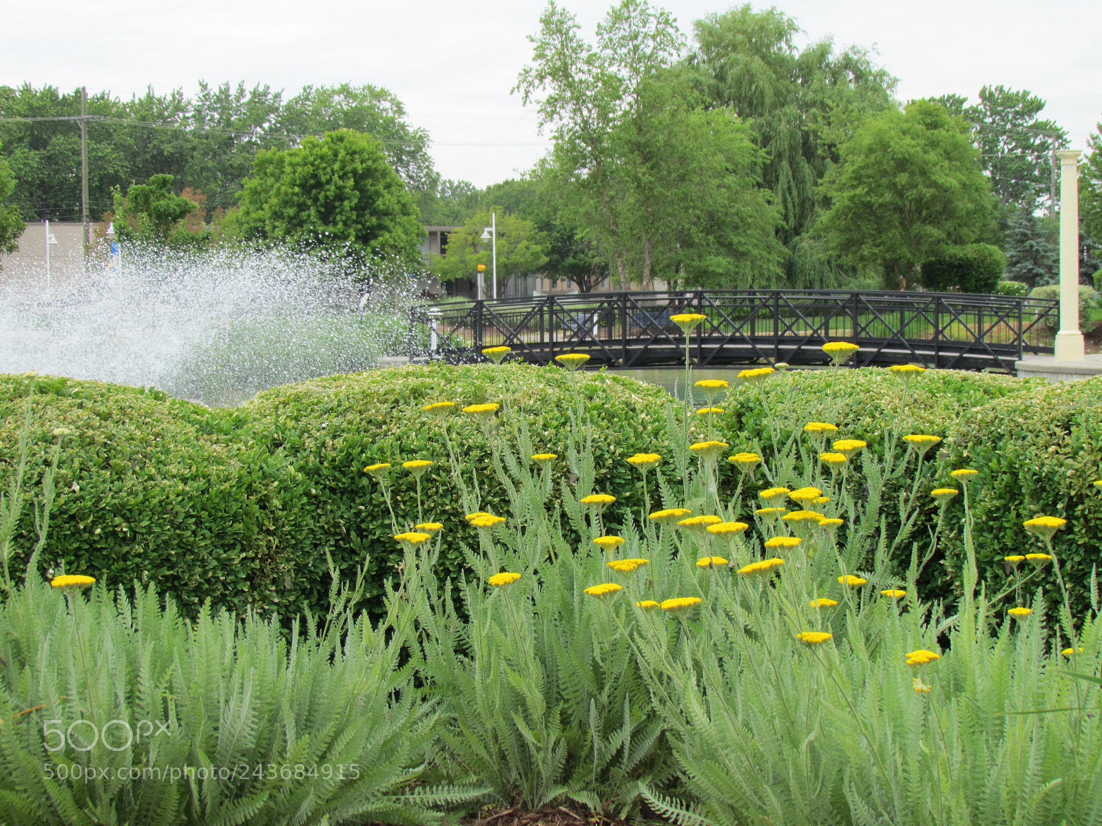 Canon PowerShot SX30 IS sample photo. Img photography