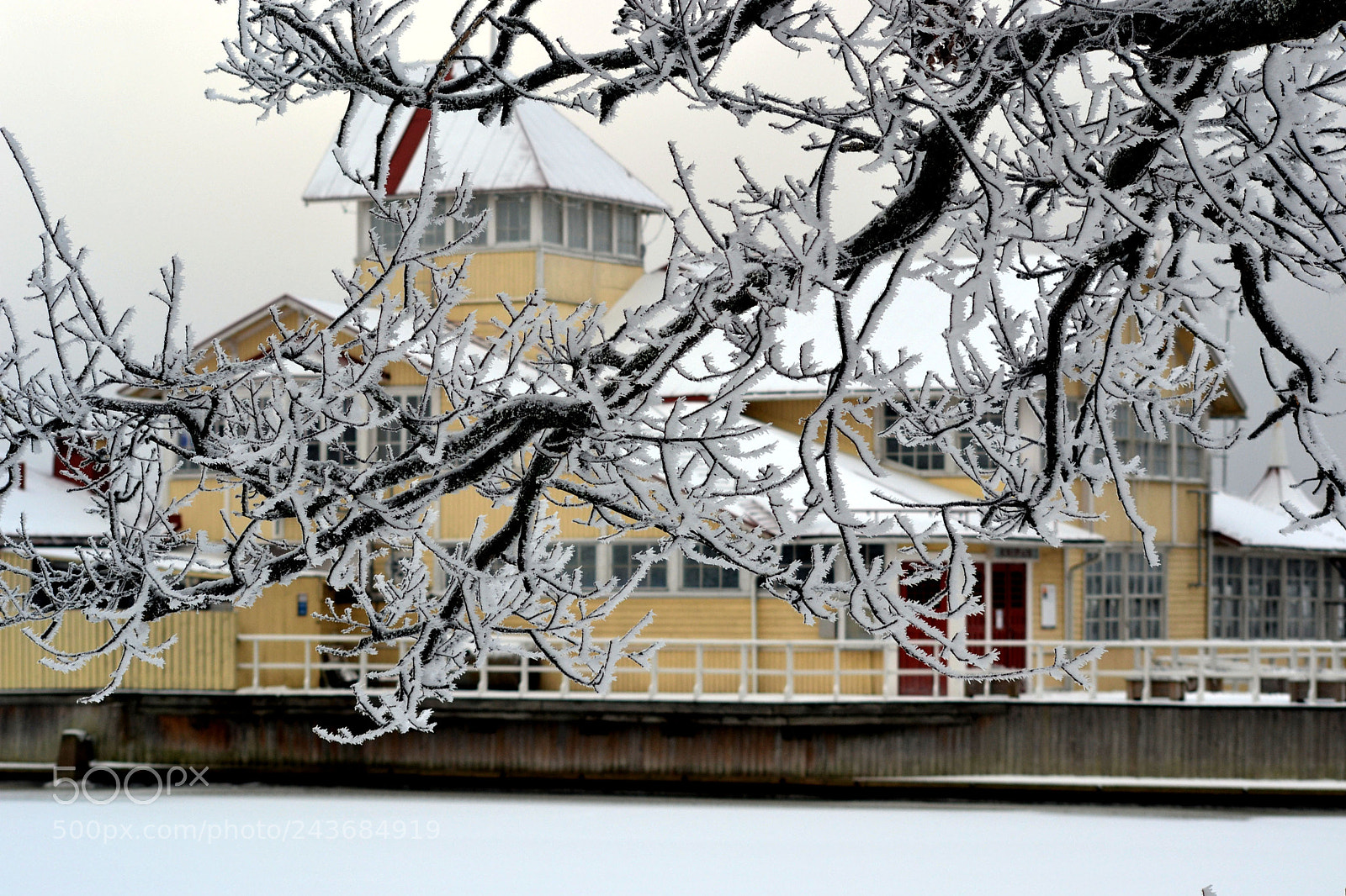 Nikon D3100 sample photo. Winter 2017-2018 photography